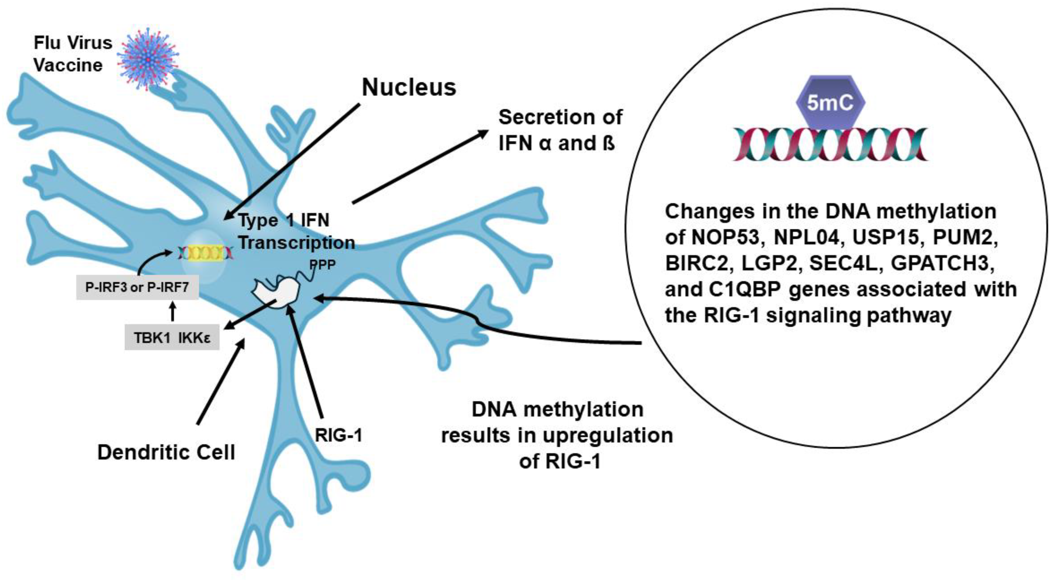 Preprints 102339 g010