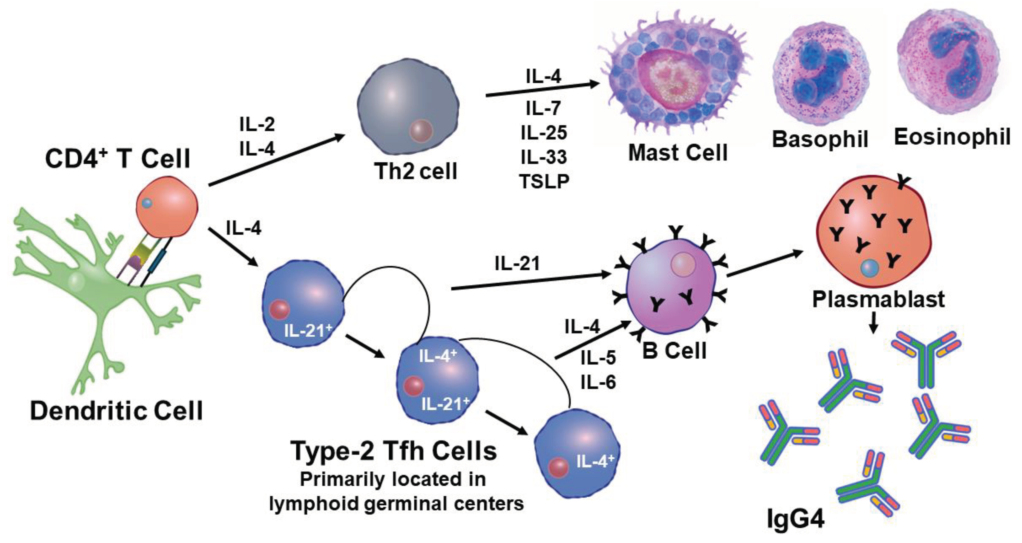 Preprints 102339 g011