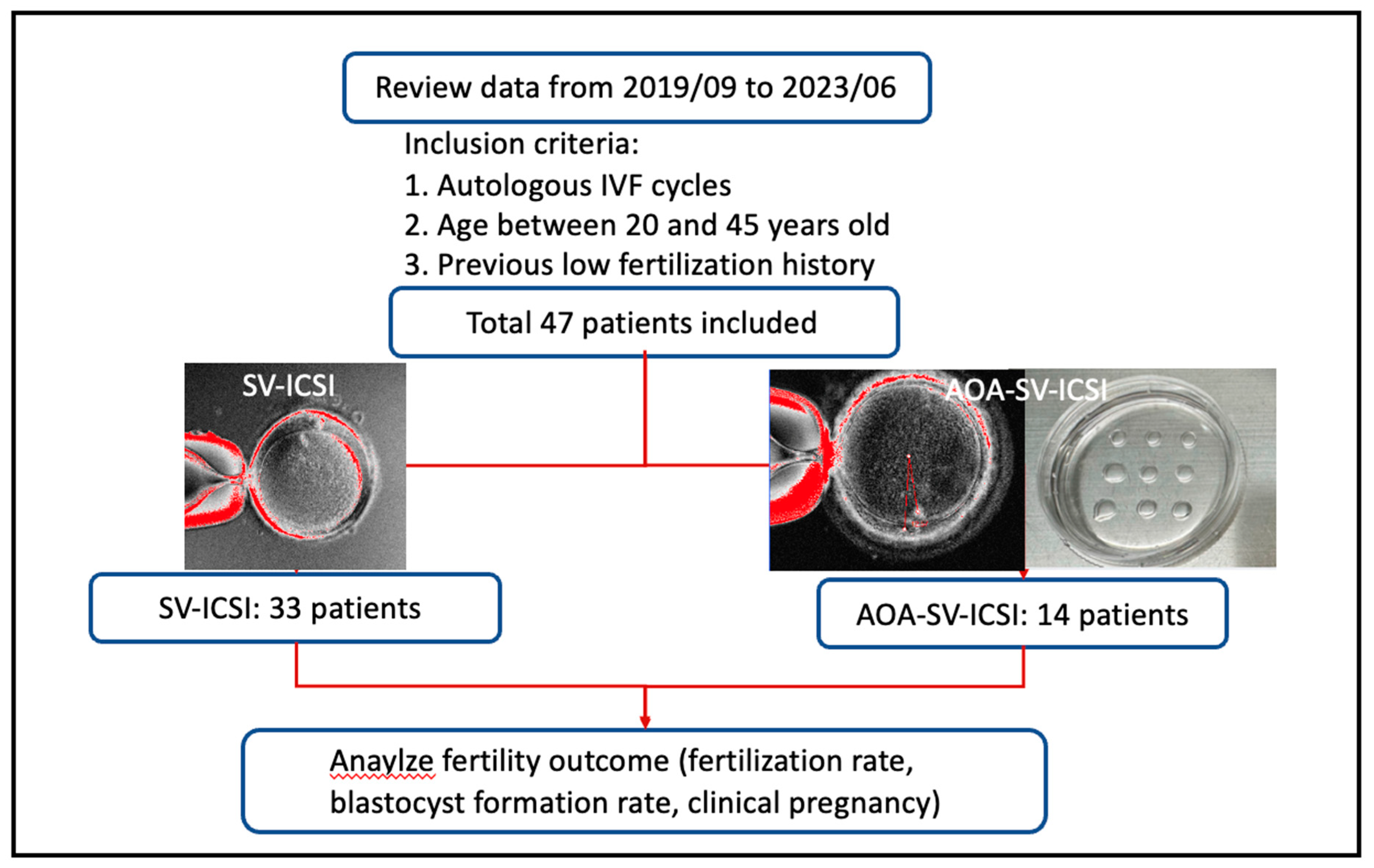 Preprints 77884 g001