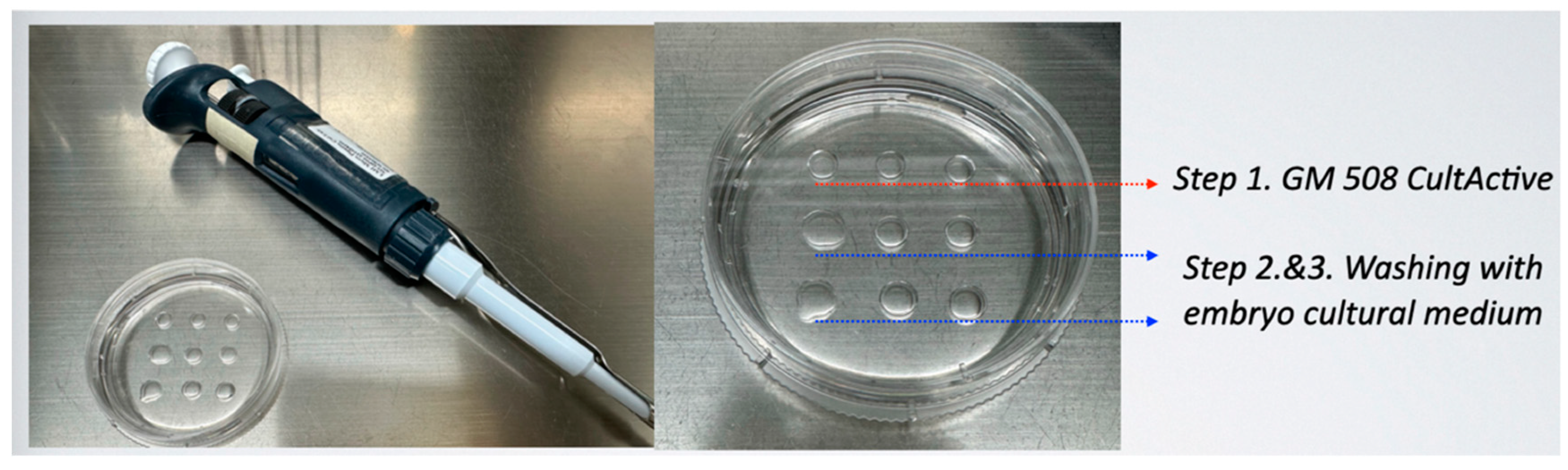 Preprints 77884 g0a2