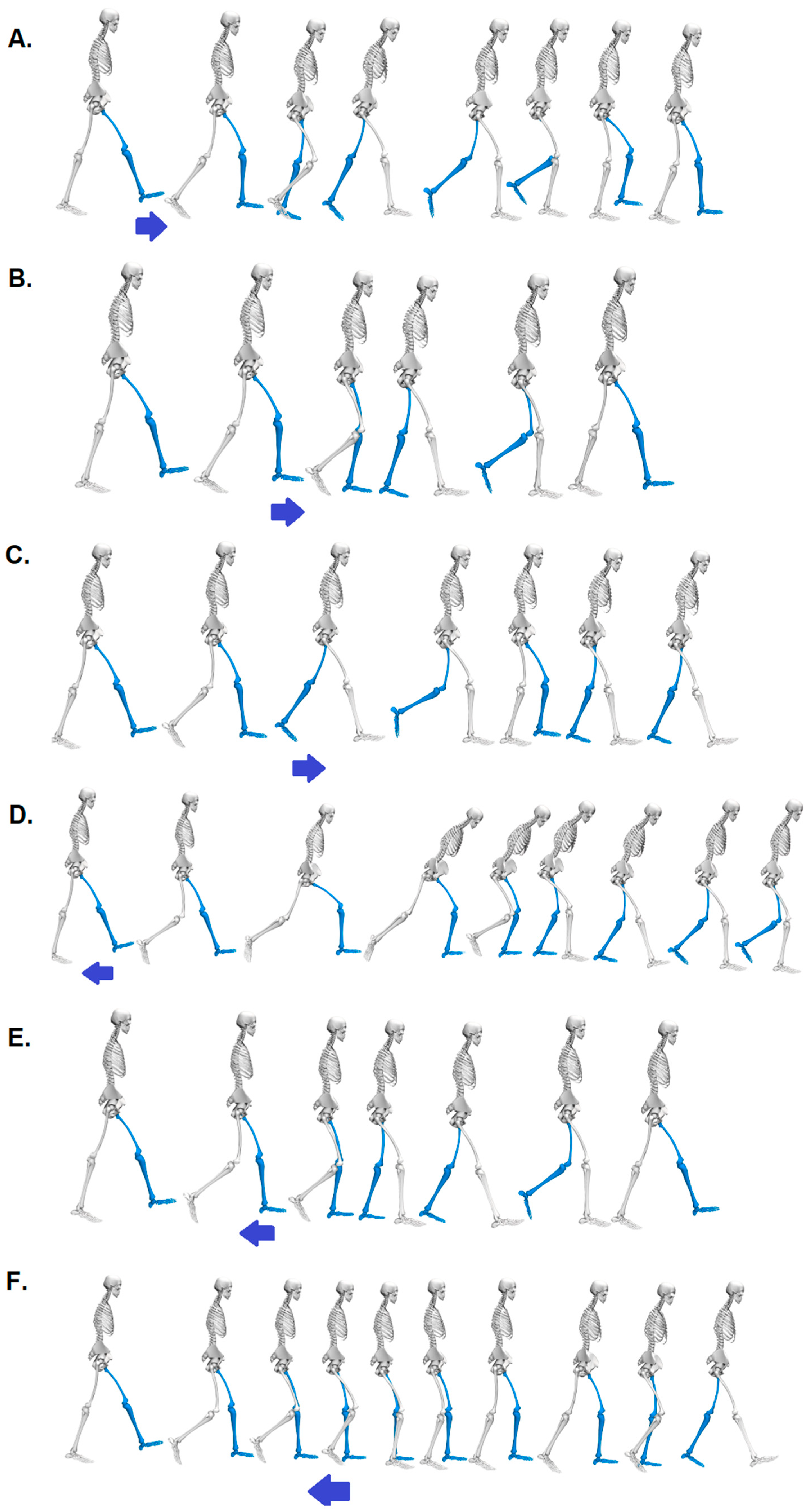 Preprints 91716 g001