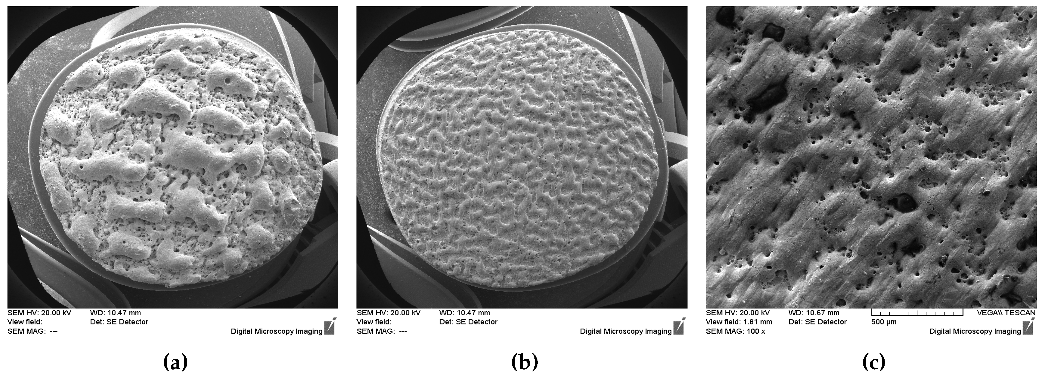 Preprints 96157 g006