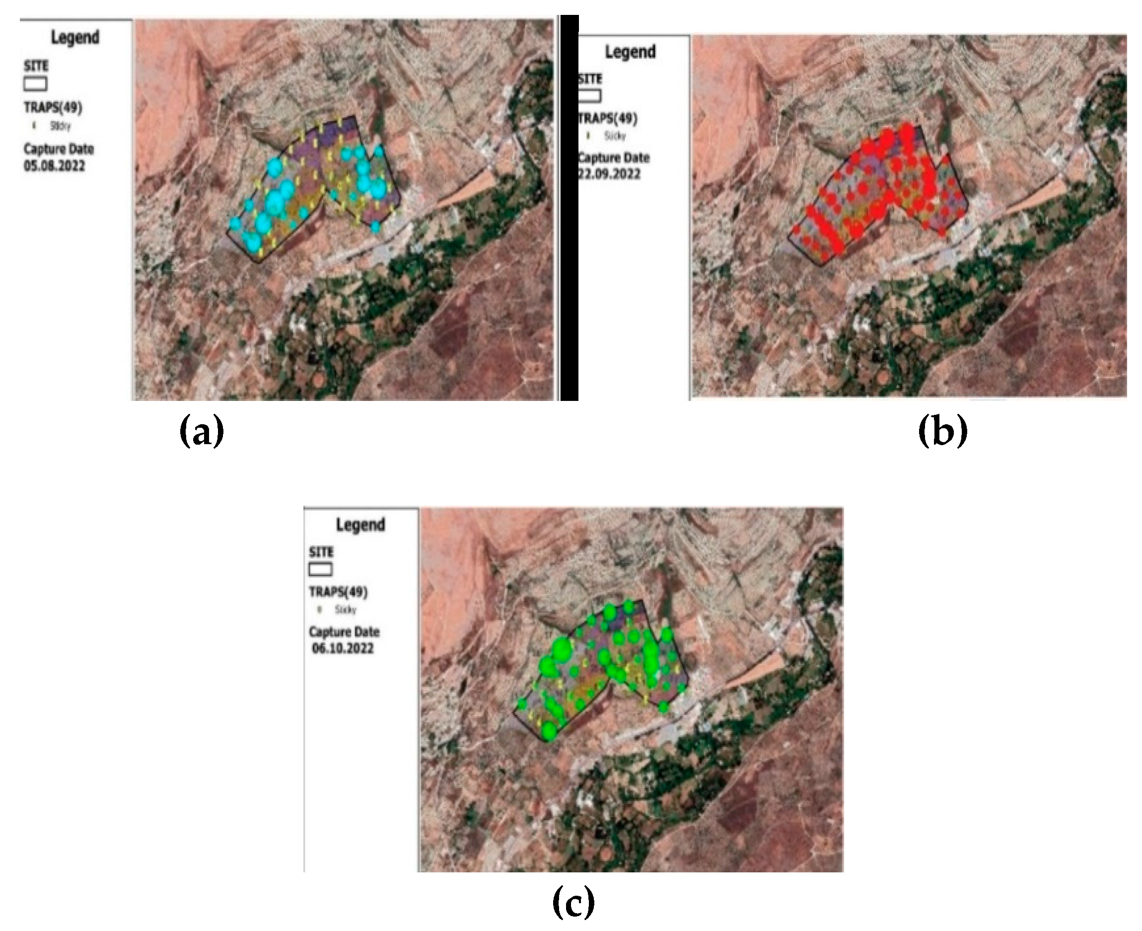 Preprints 82954 g011