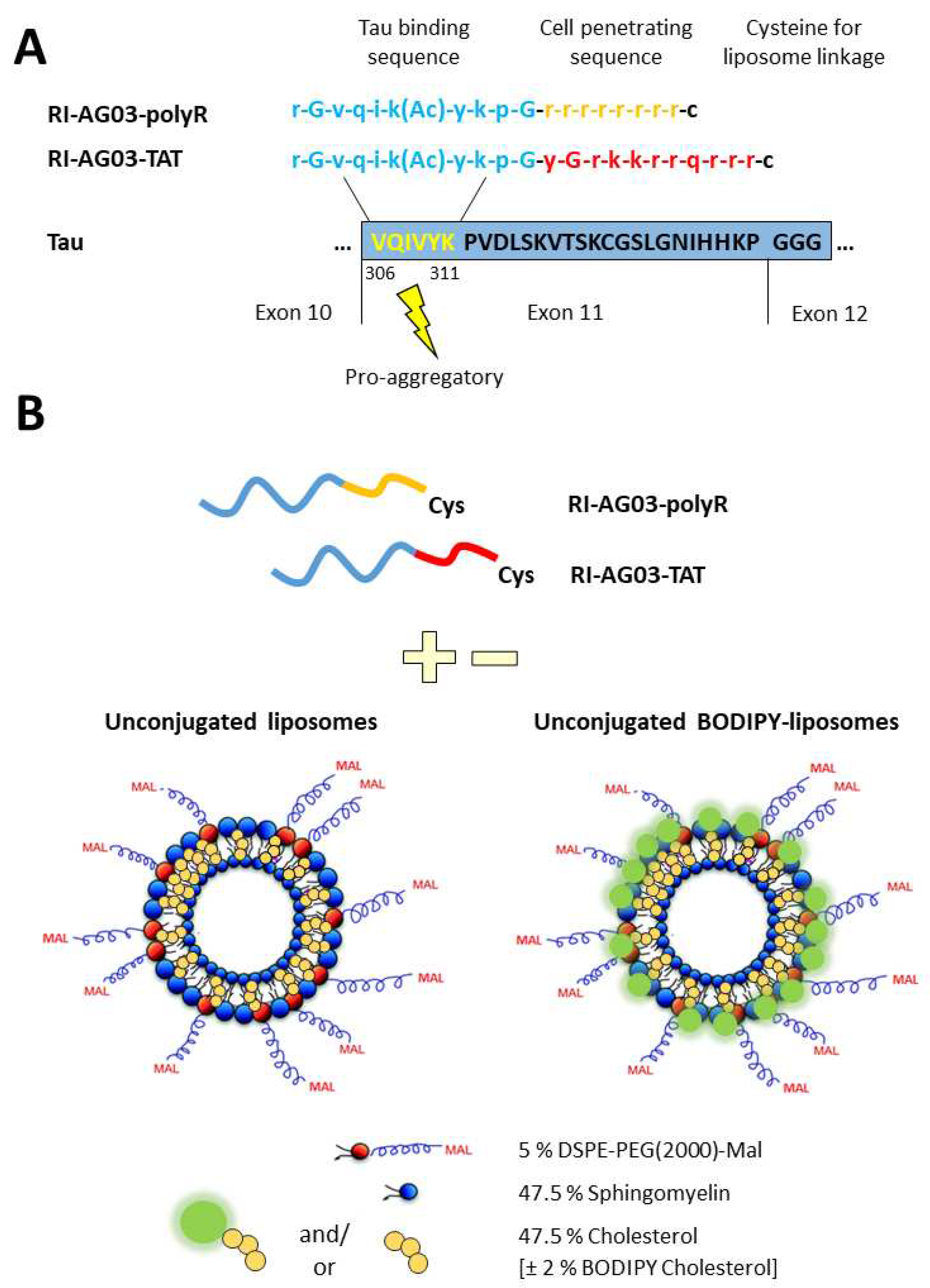 Preprints 74017 g001