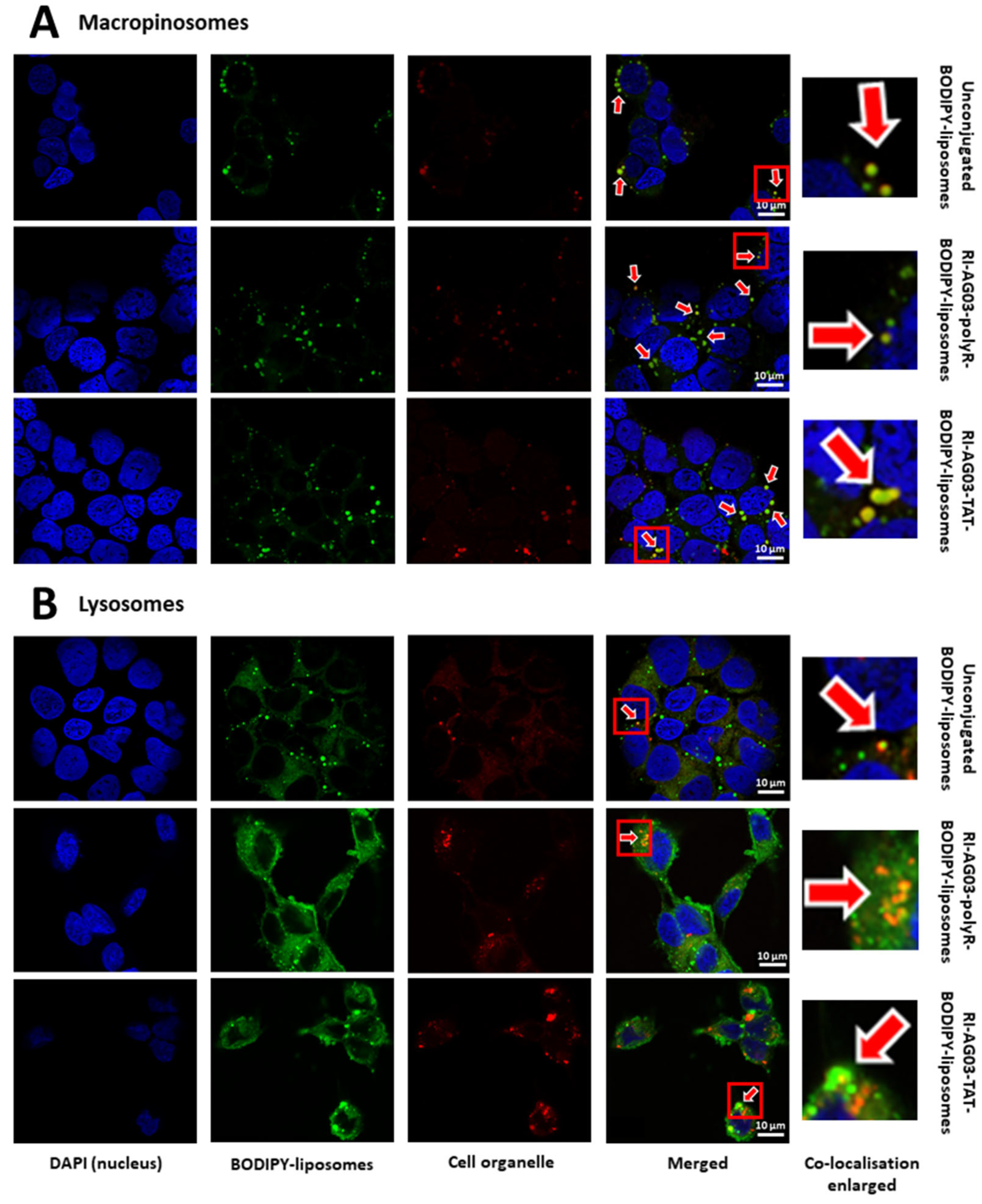 Preprints 74017 g004