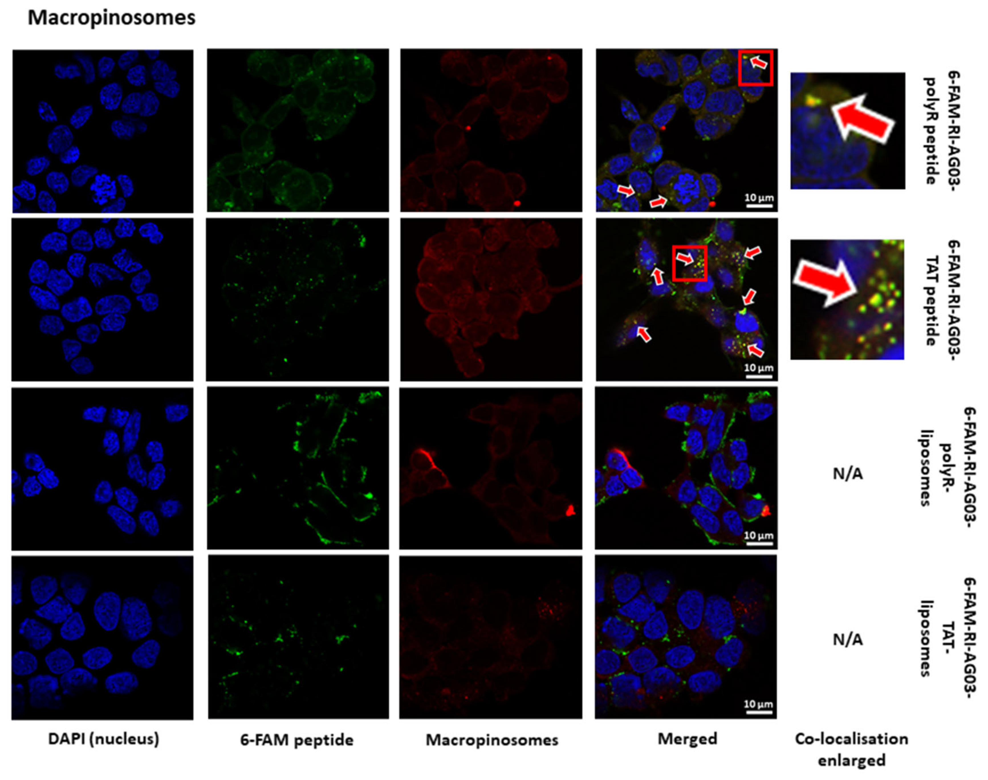 Preprints 74017 g005