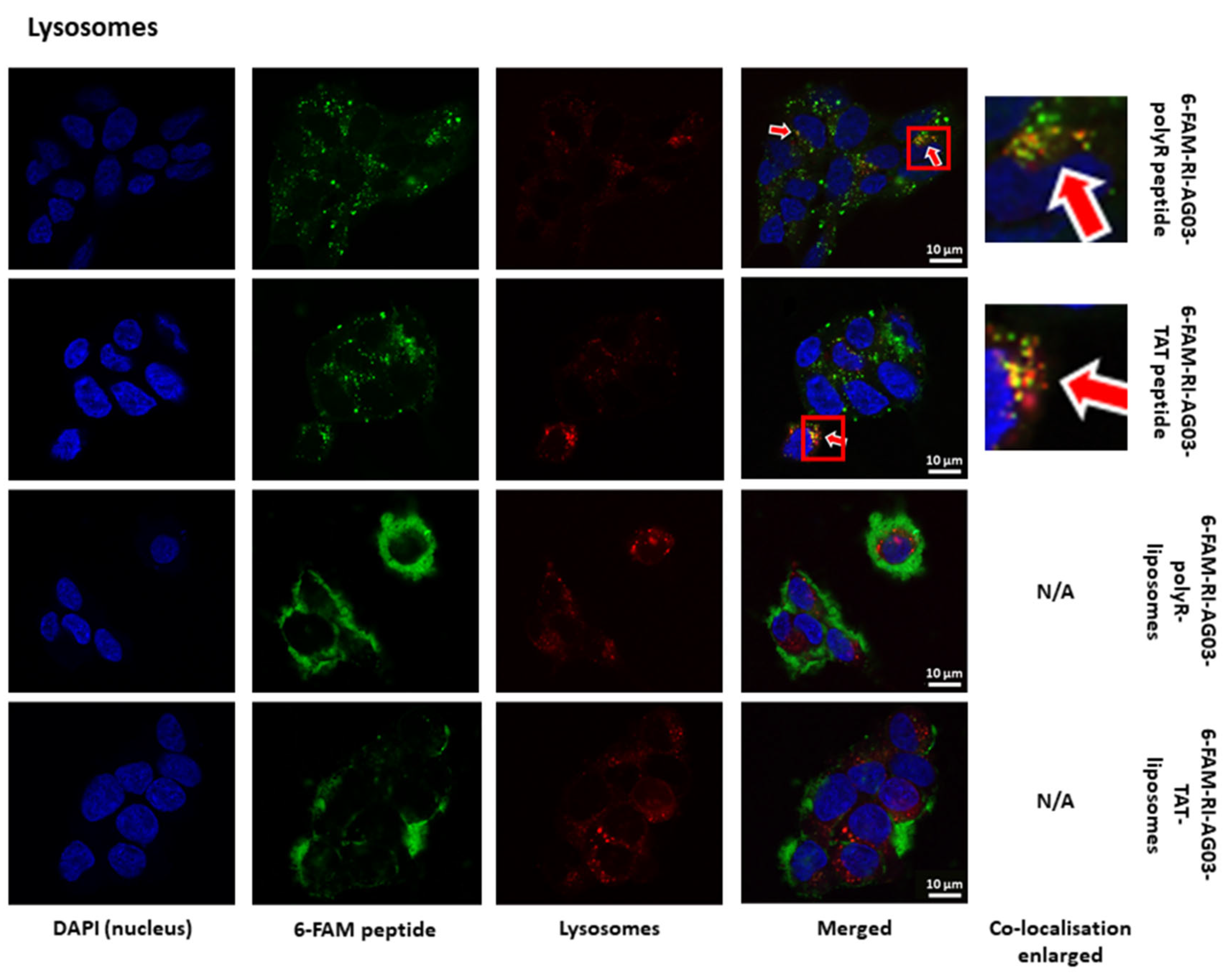 Preprints 74017 g006