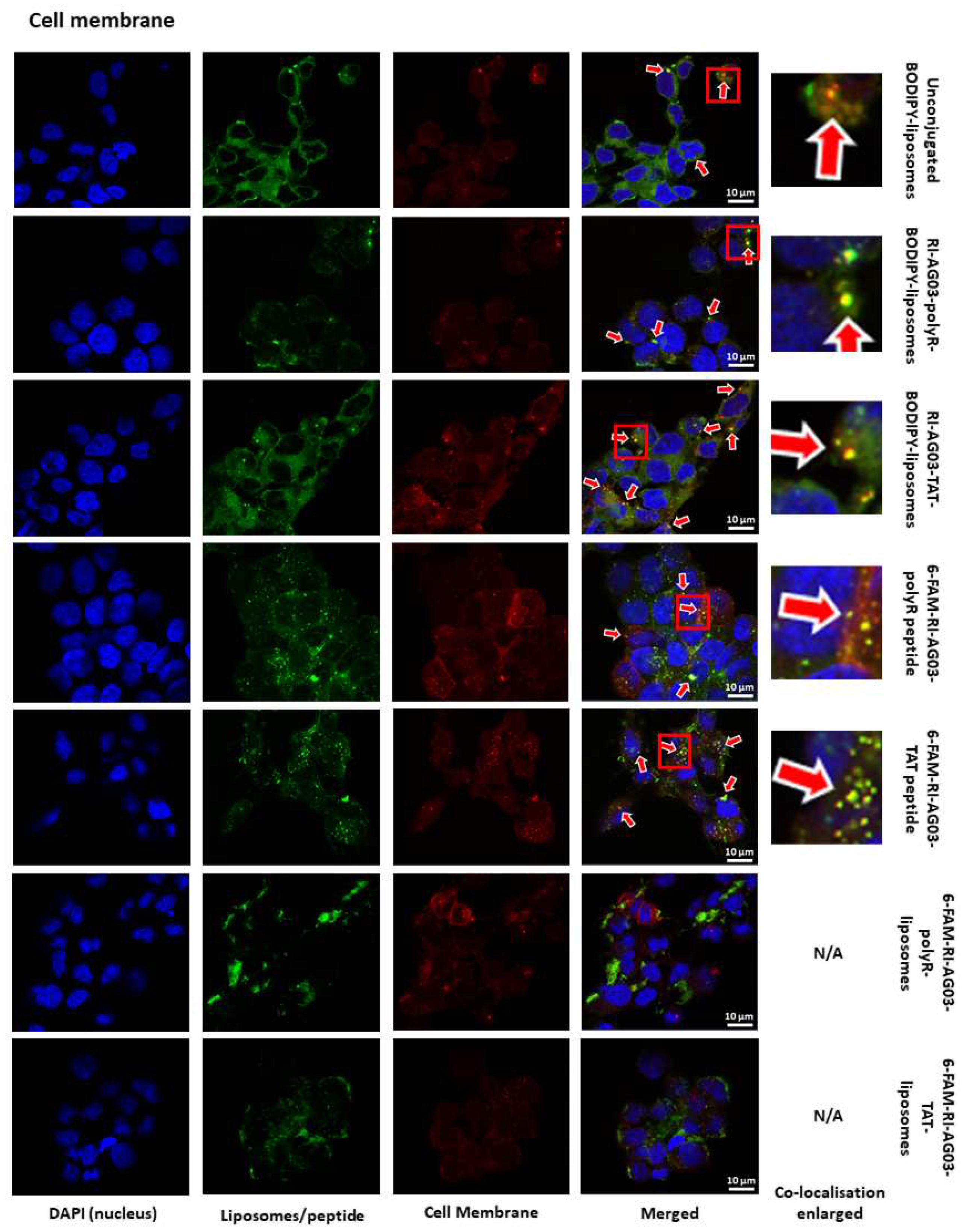 Preprints 74017 g007