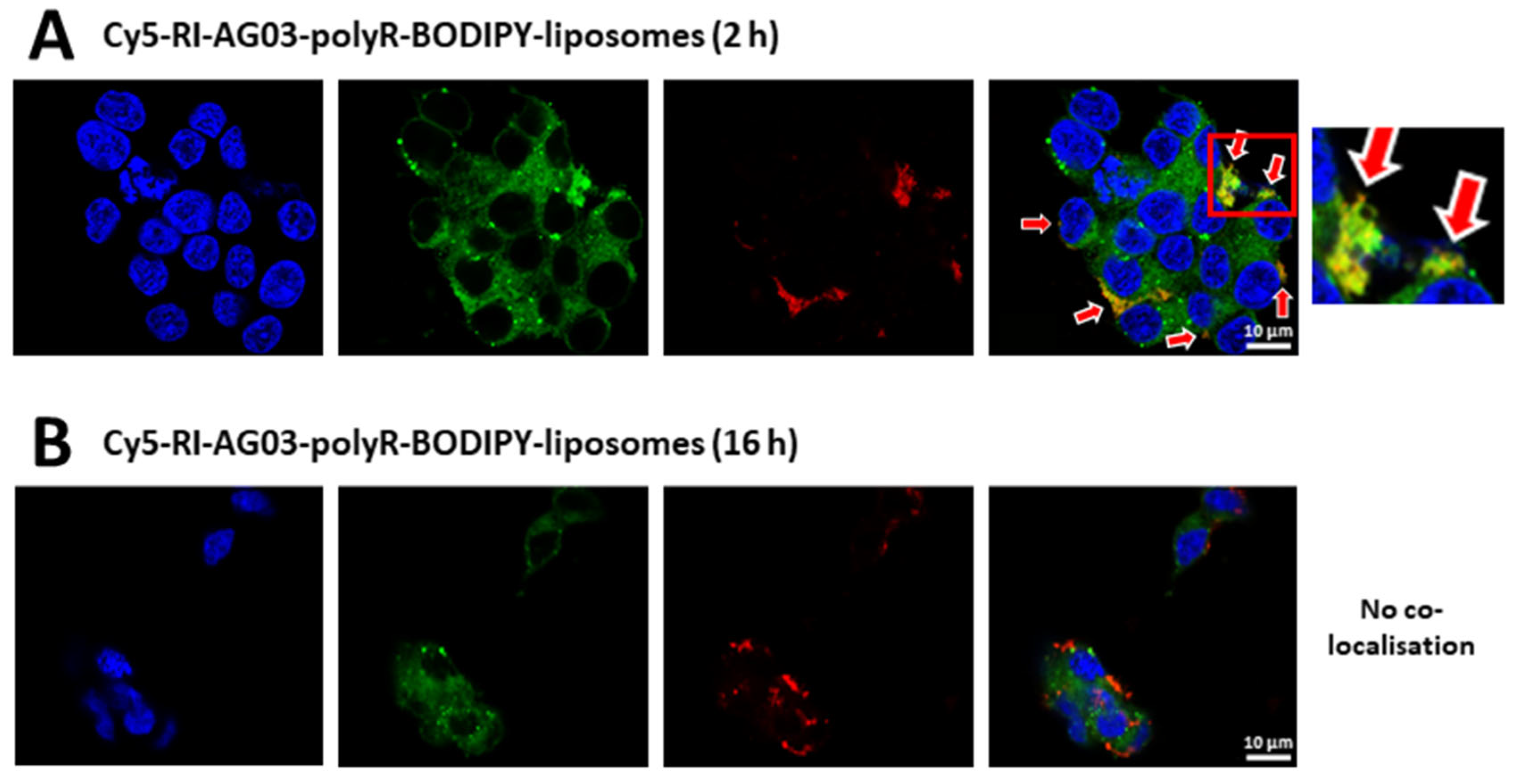 Preprints 74017 g008