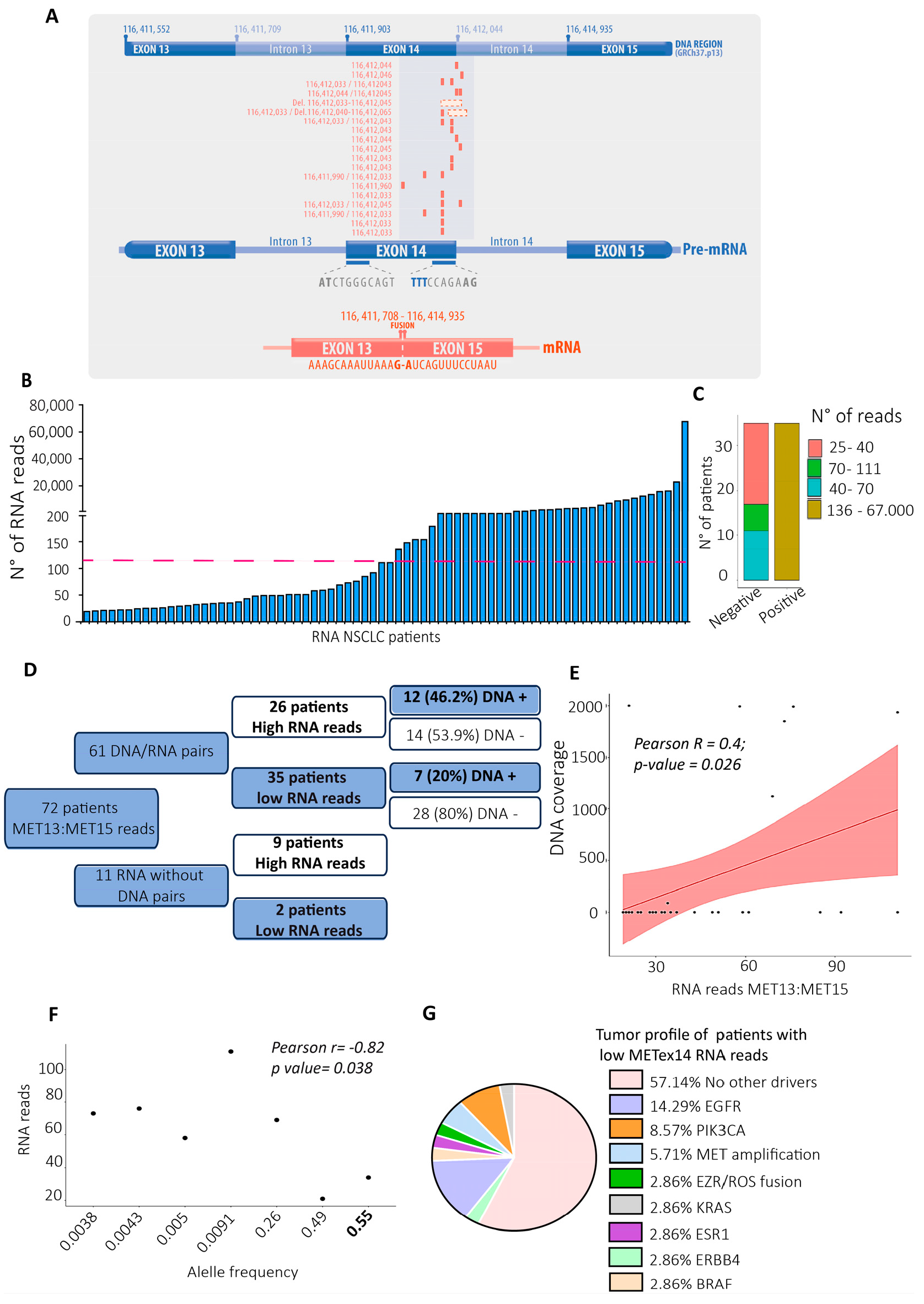 Preprints 138634 g002