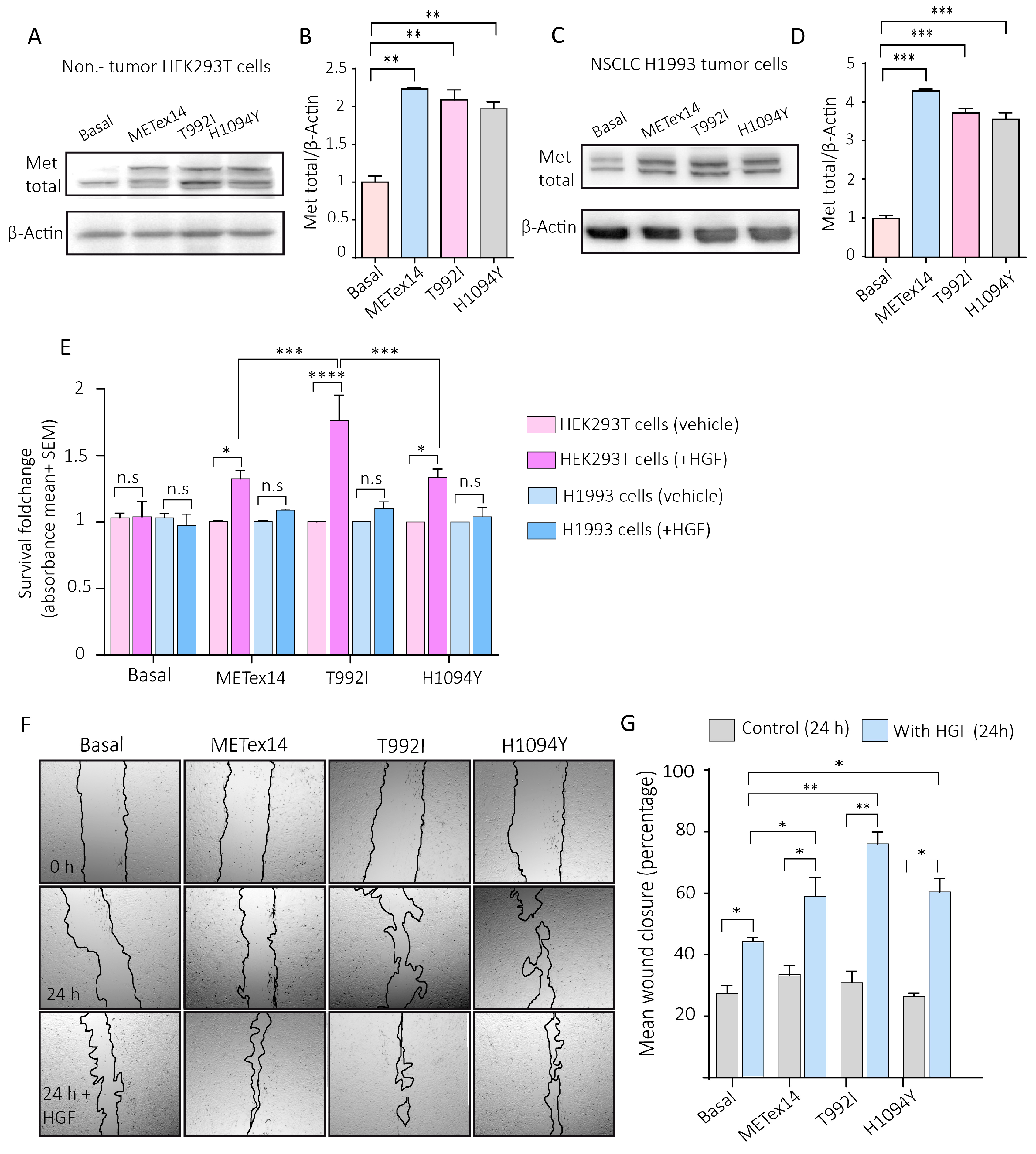 Preprints 138634 g004