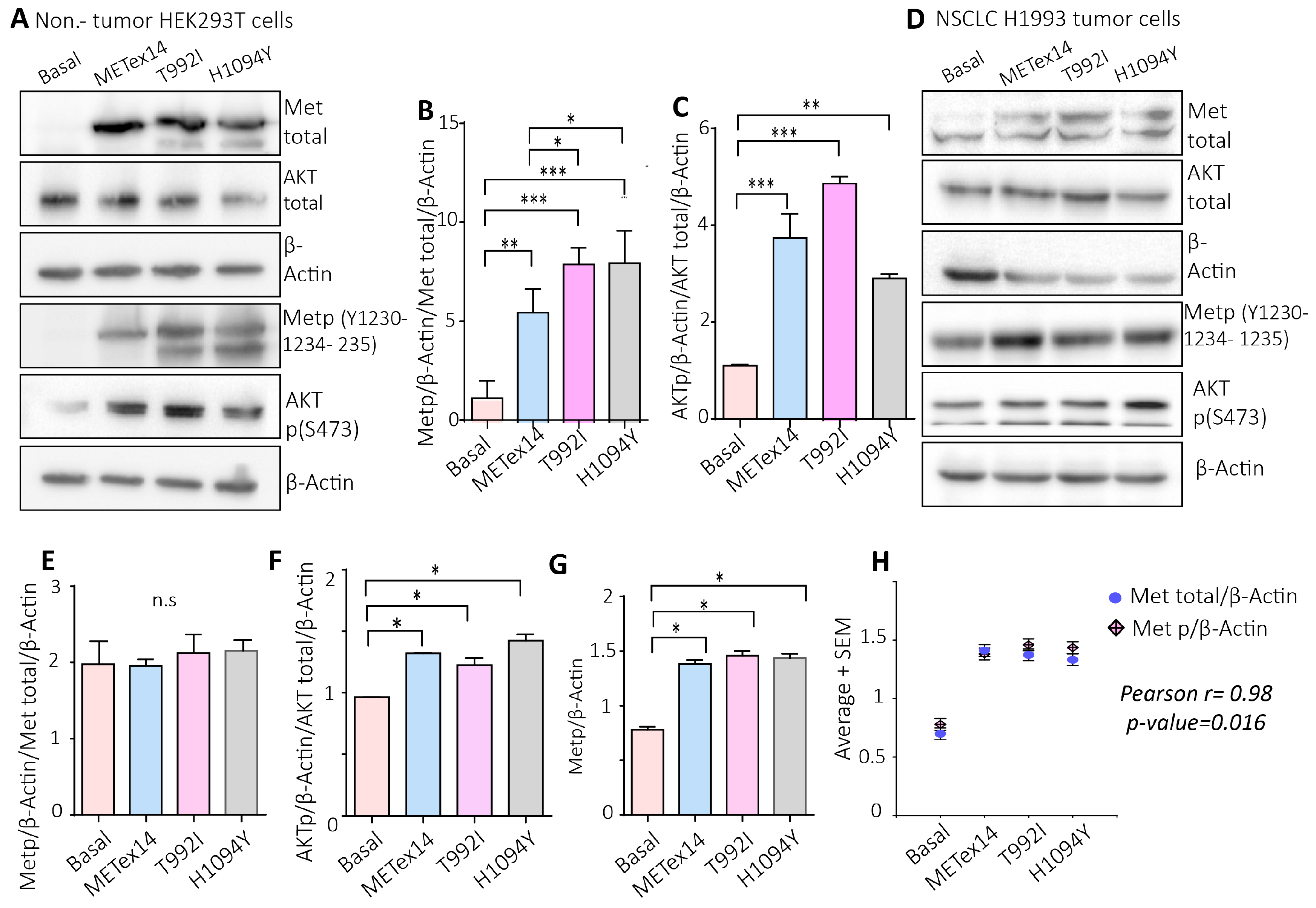 Preprints 138634 g005