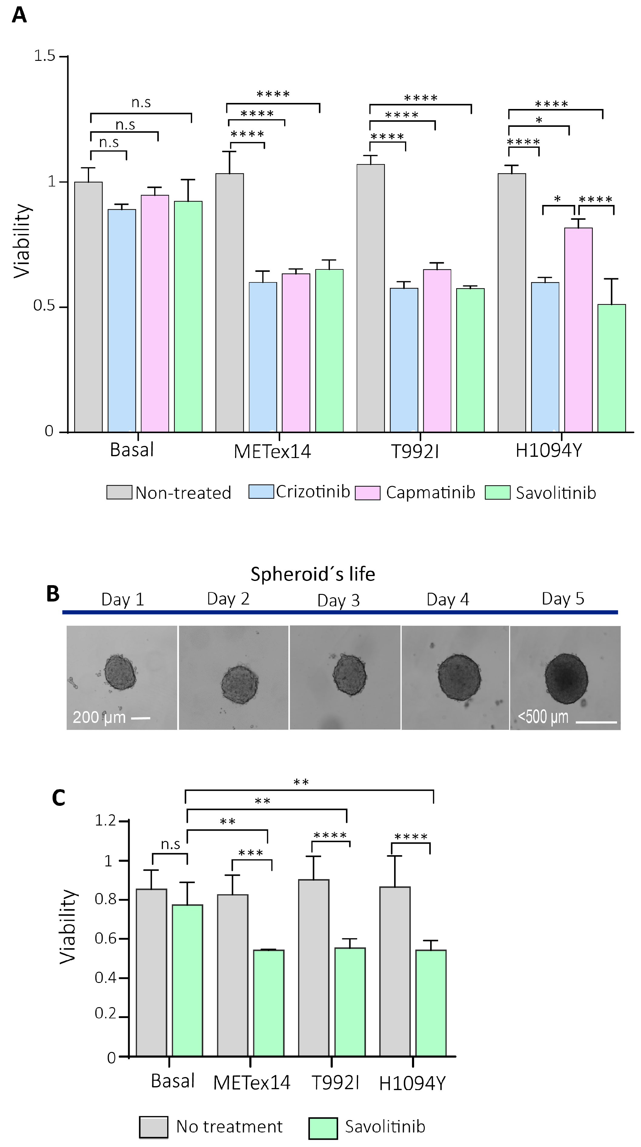 Preprints 138634 g006