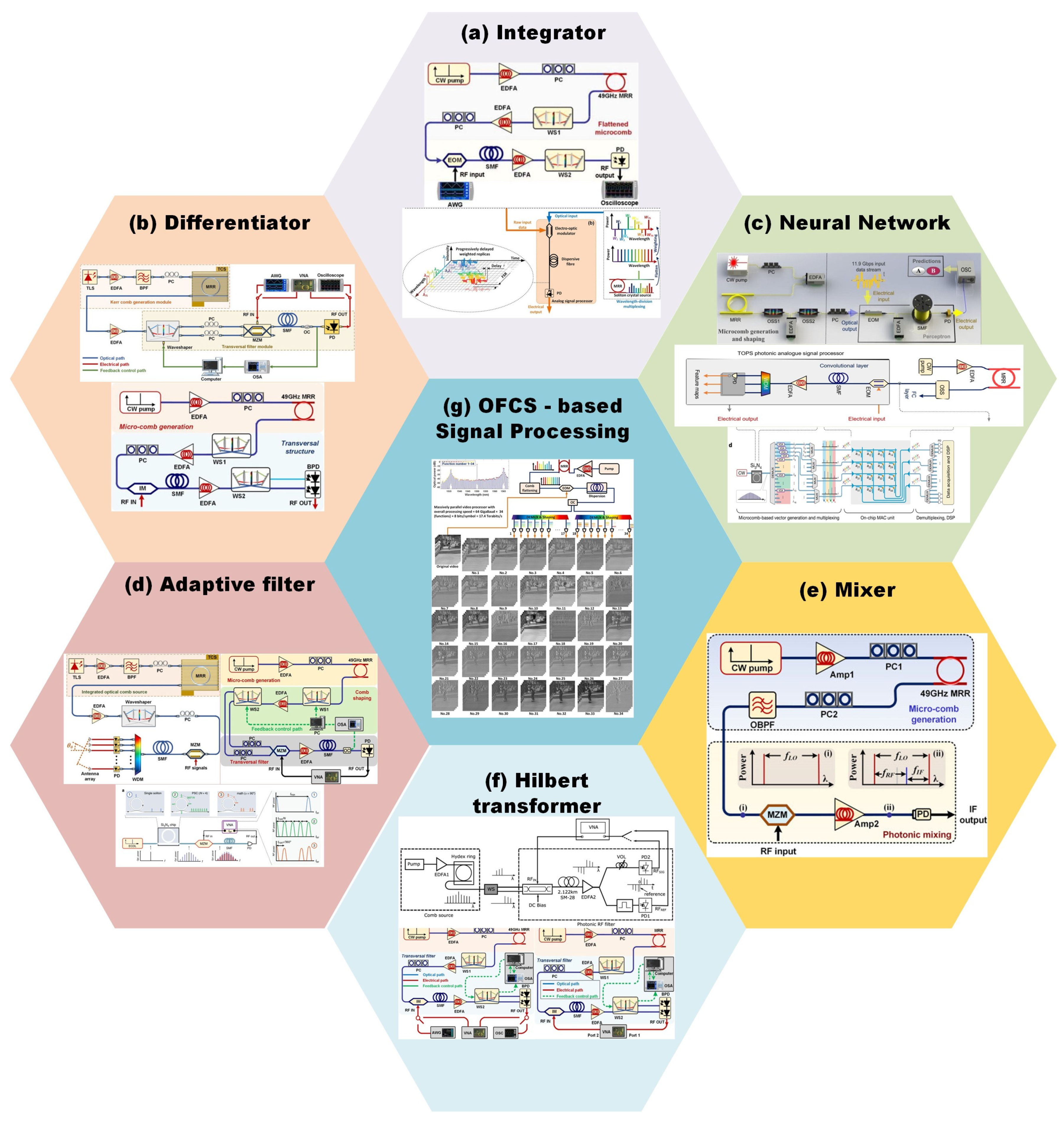 Preprints 118923 g007