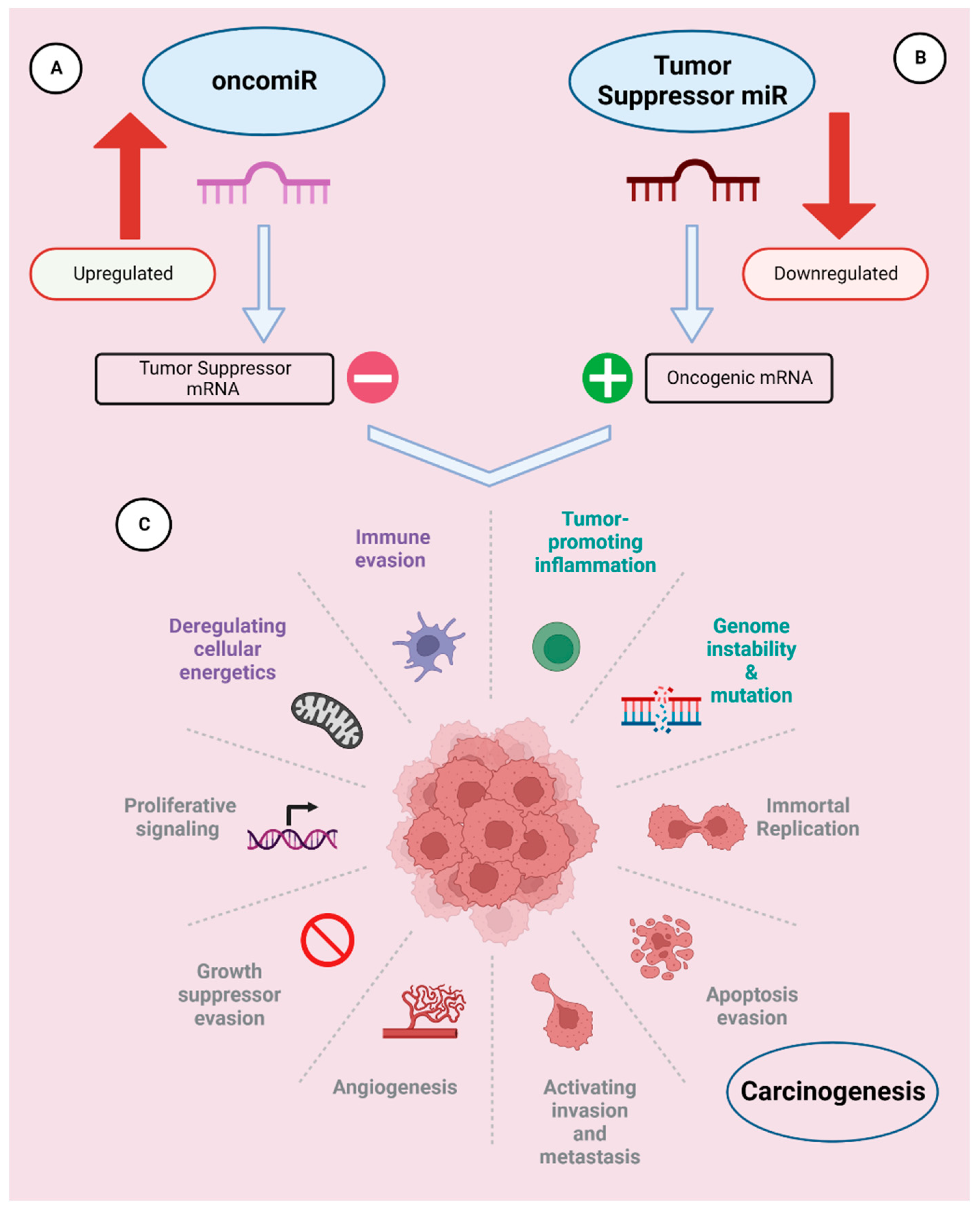 Preprints 75214 g001