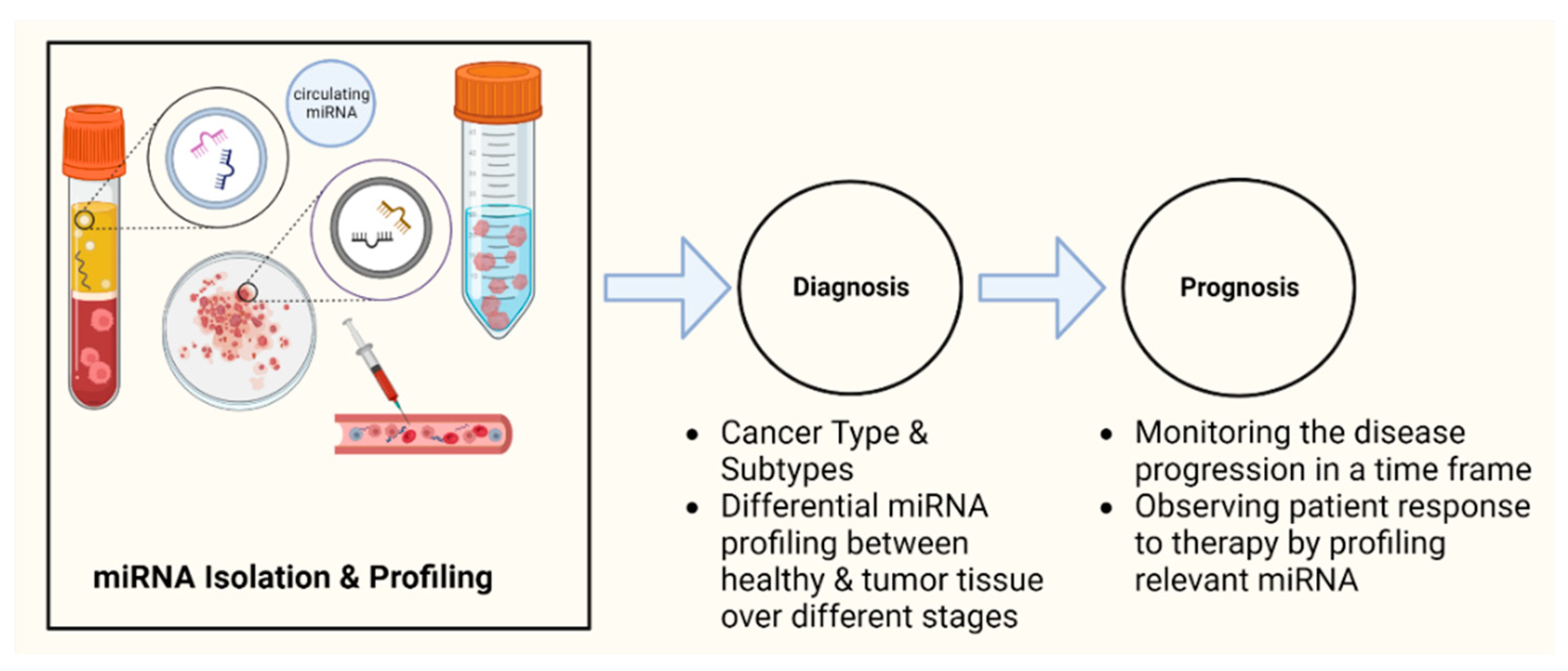 Preprints 75214 g002