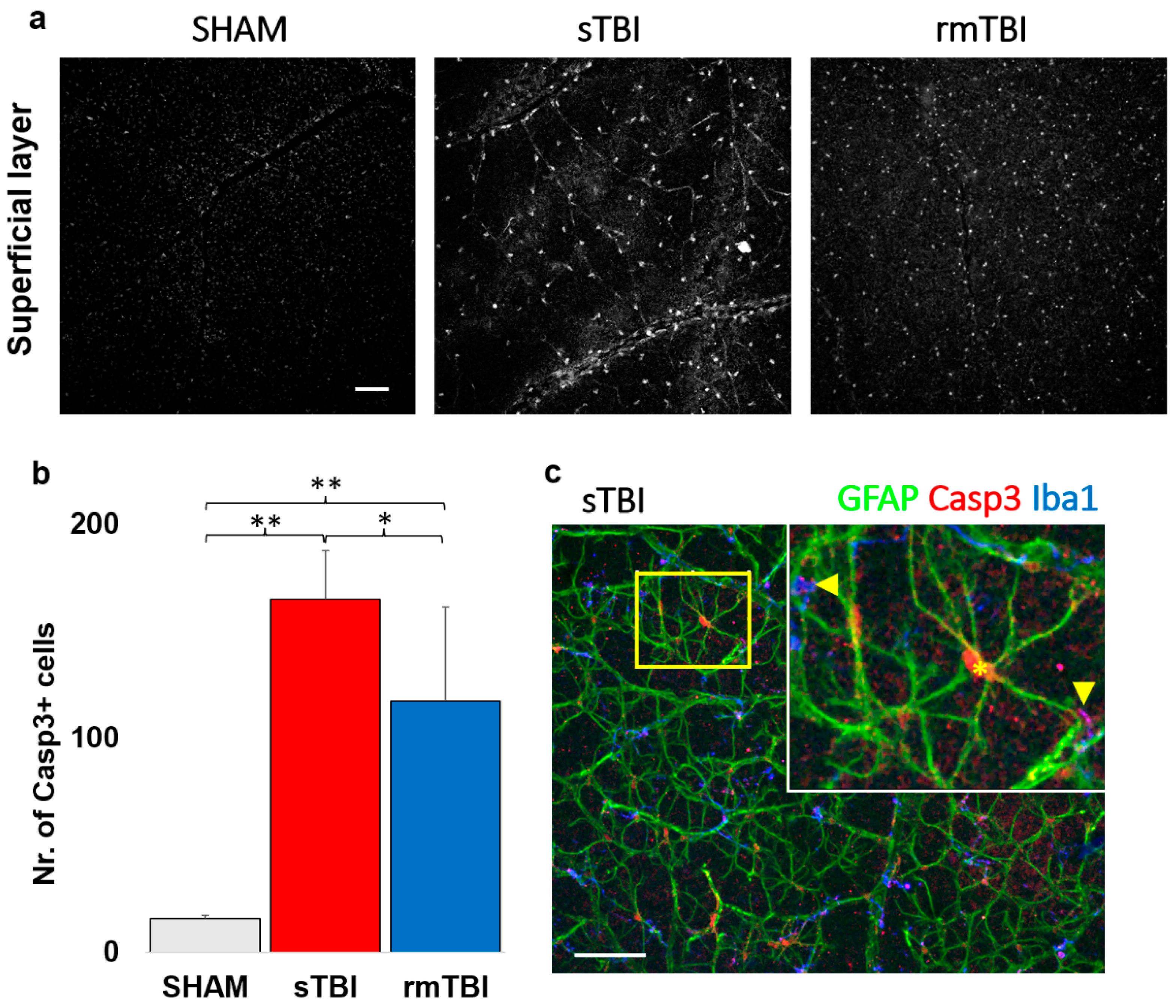 Preprints 66898 g003