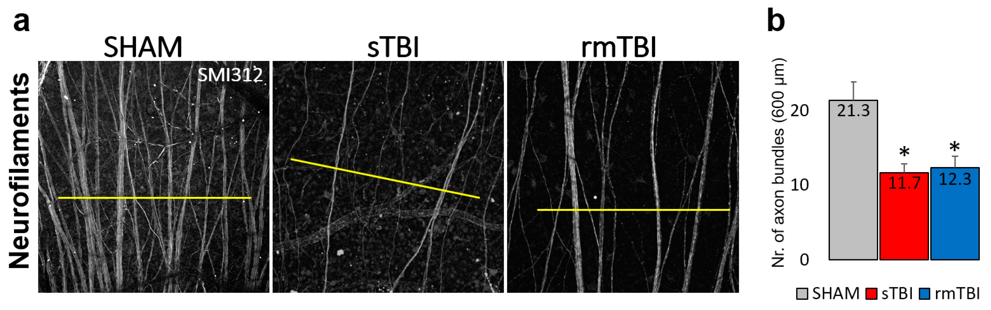 Preprints 66898 g004