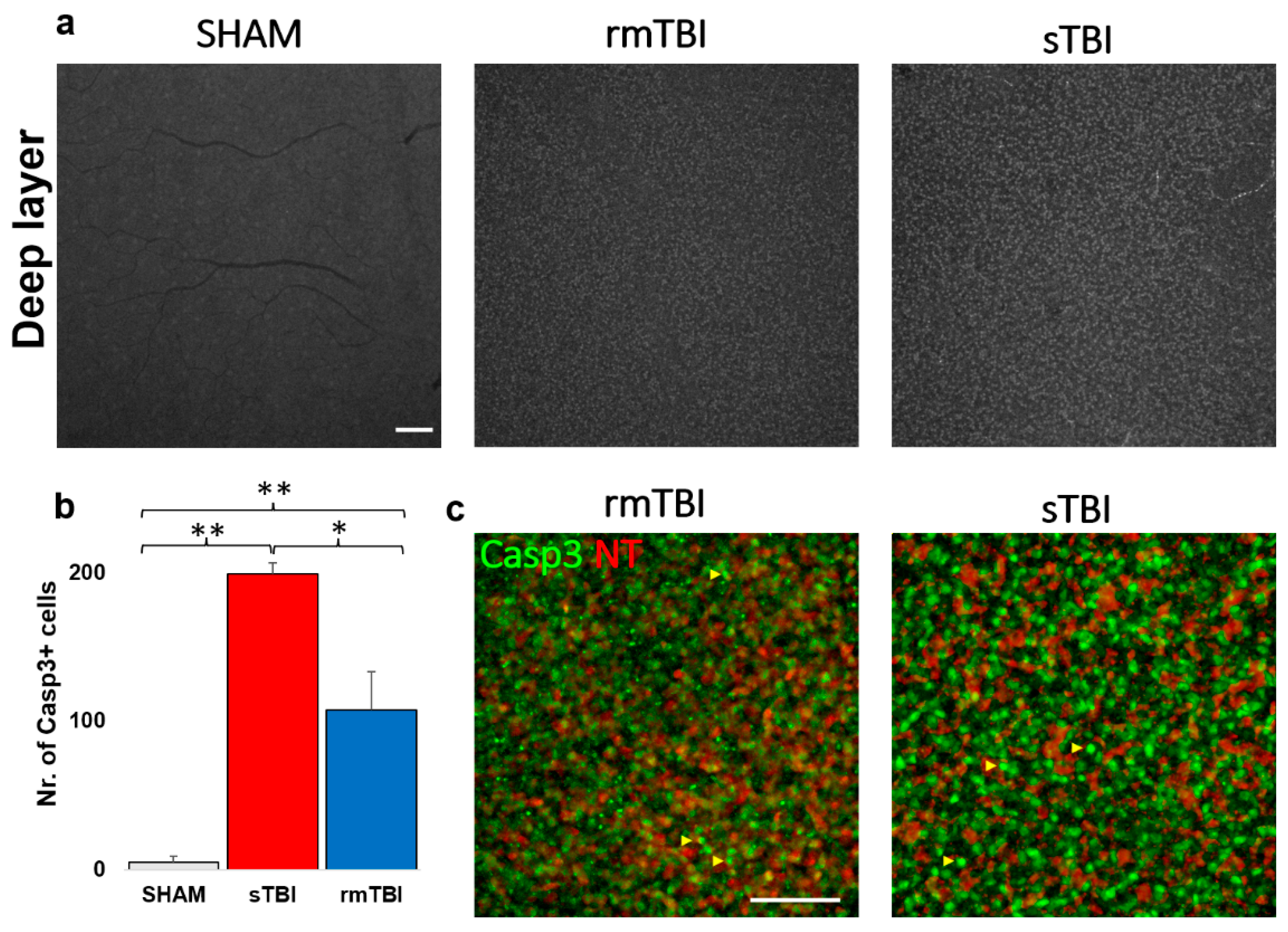 Preprints 66898 g005