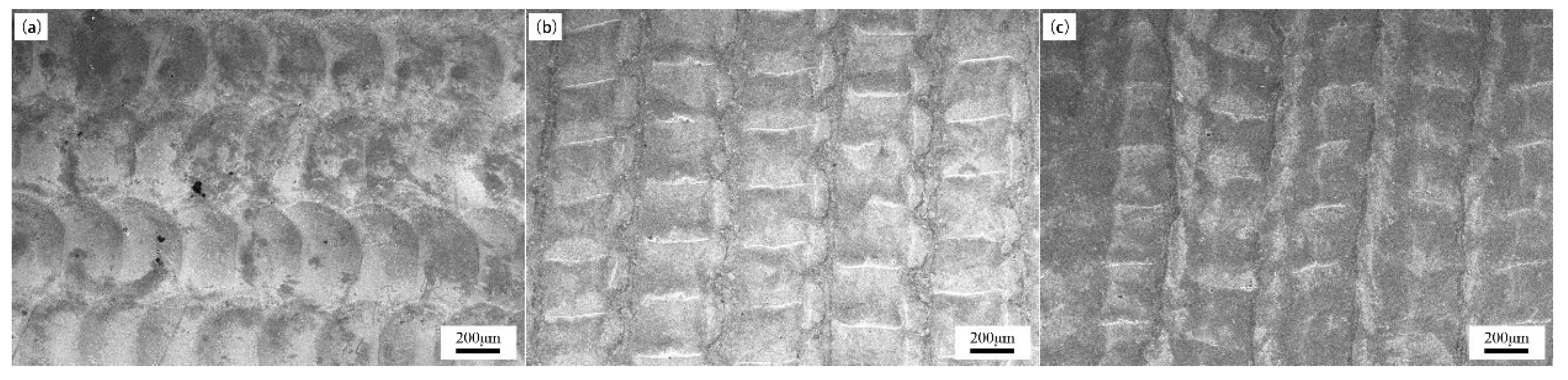 Preprints 92186 g004