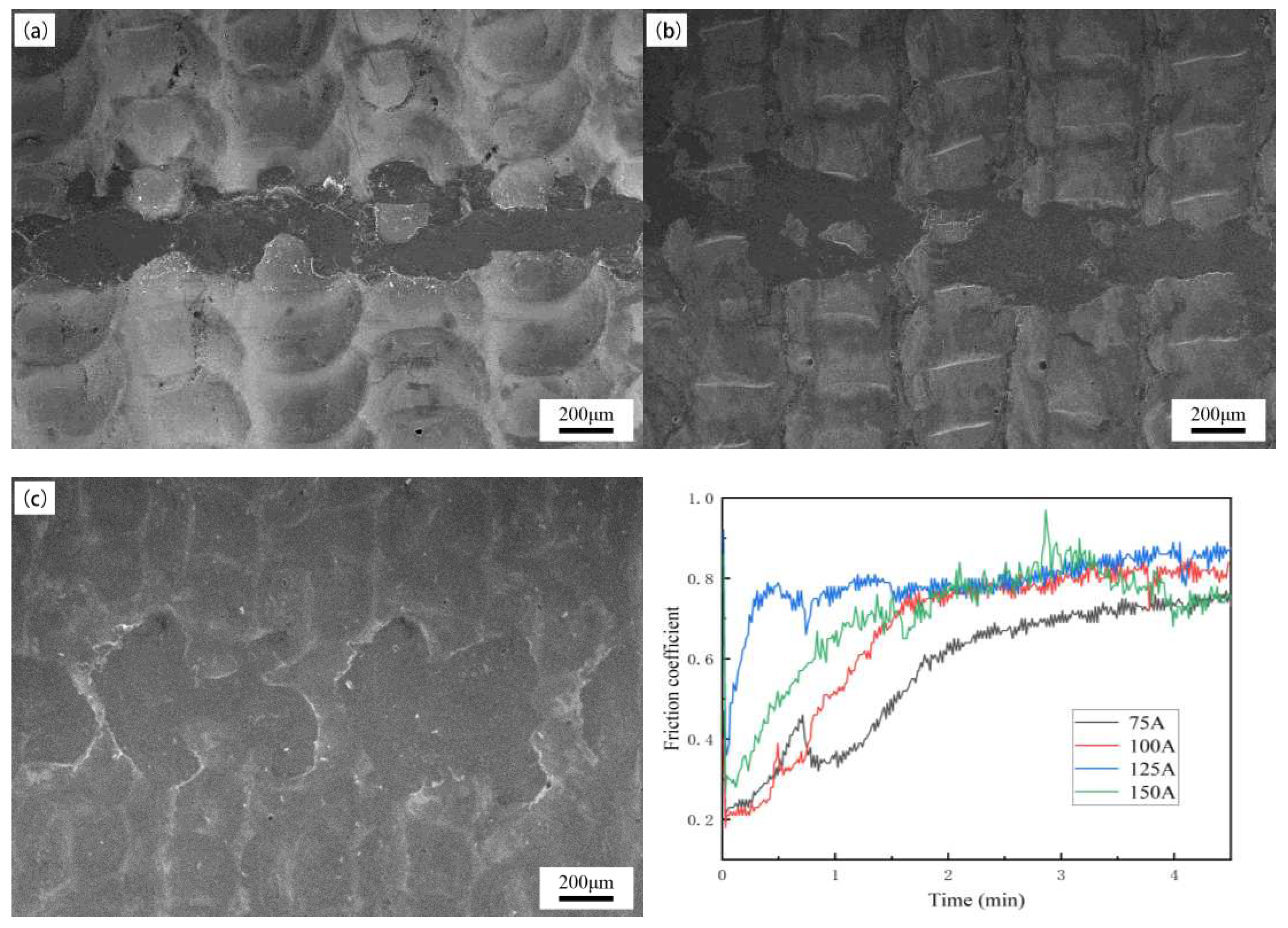 Preprints 92186 g010