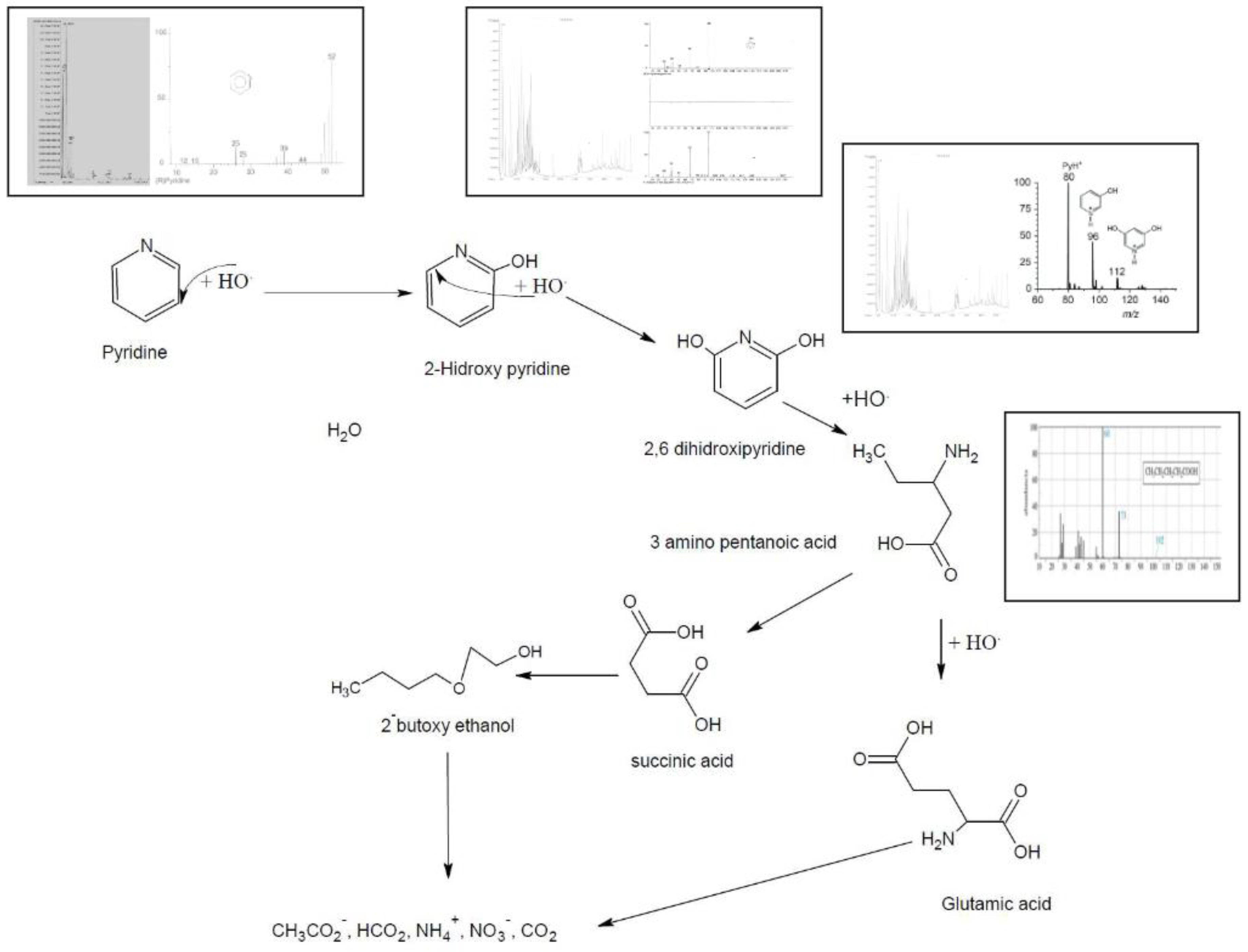 Preprints 120498 g011