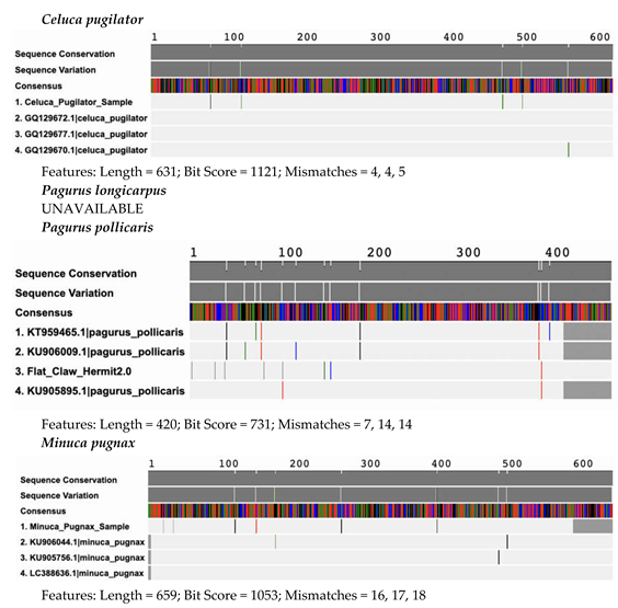 Preprints 118254 i003