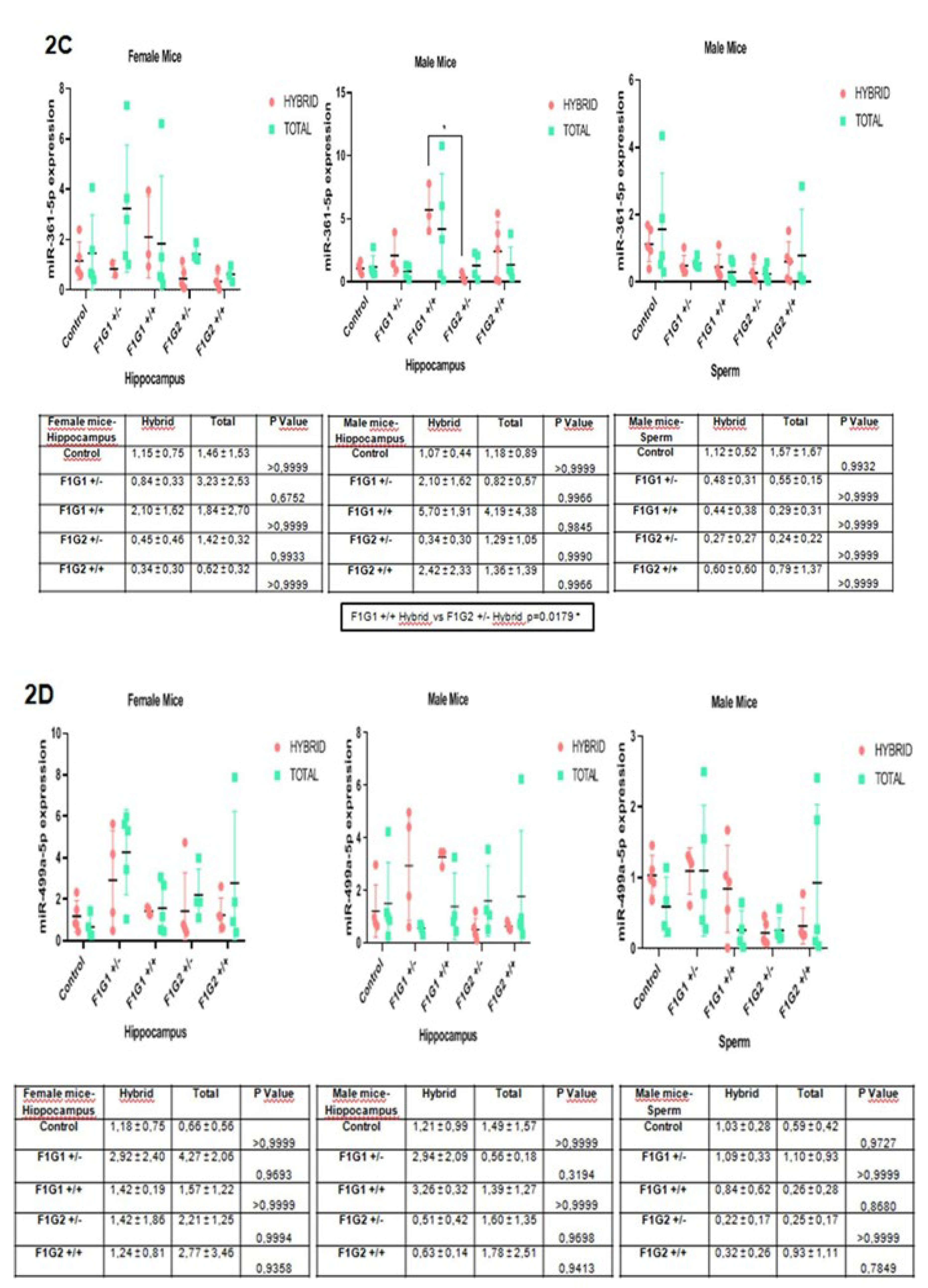 Preprints 111761 g002b