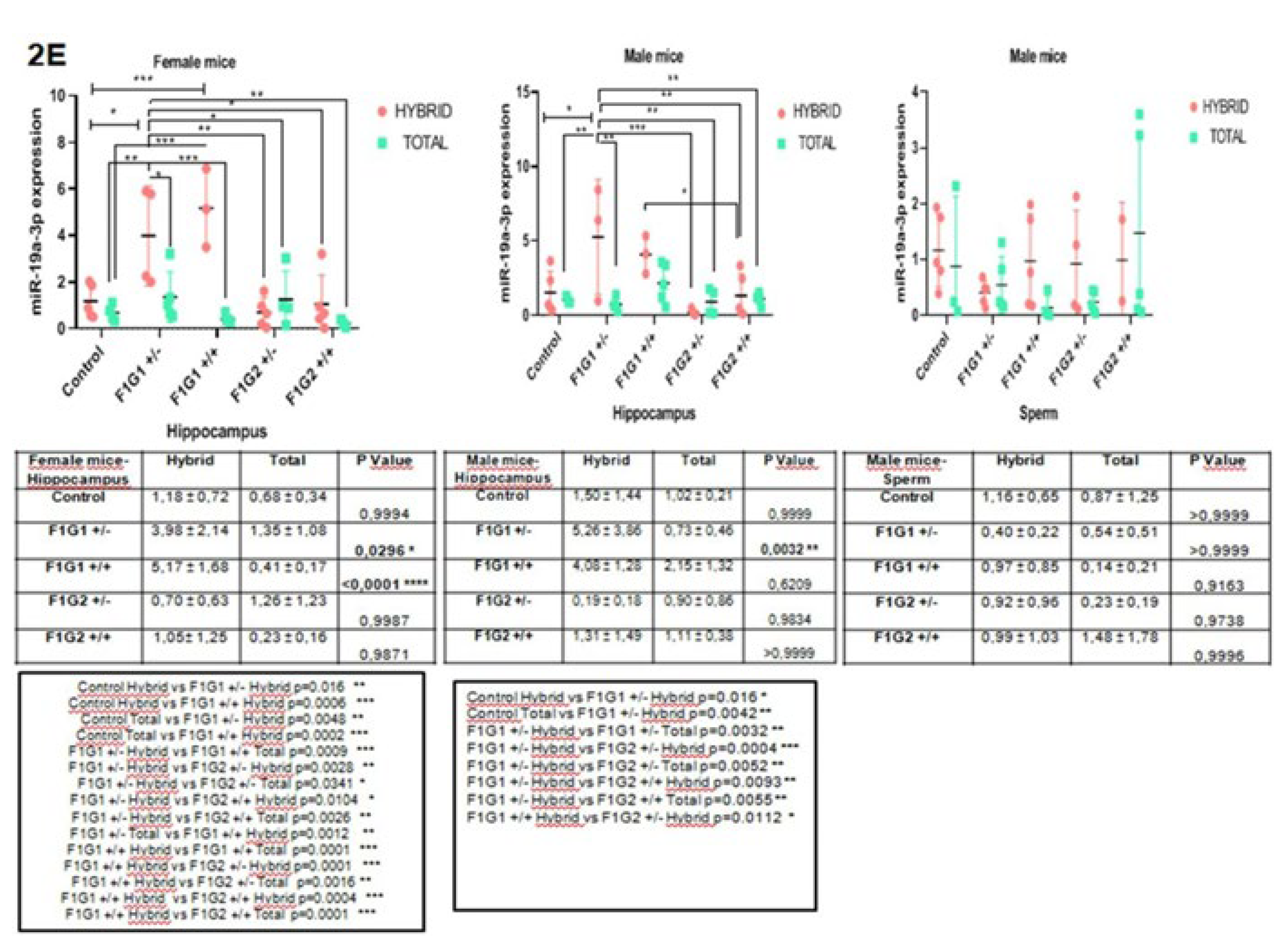 Preprints 111761 g002c