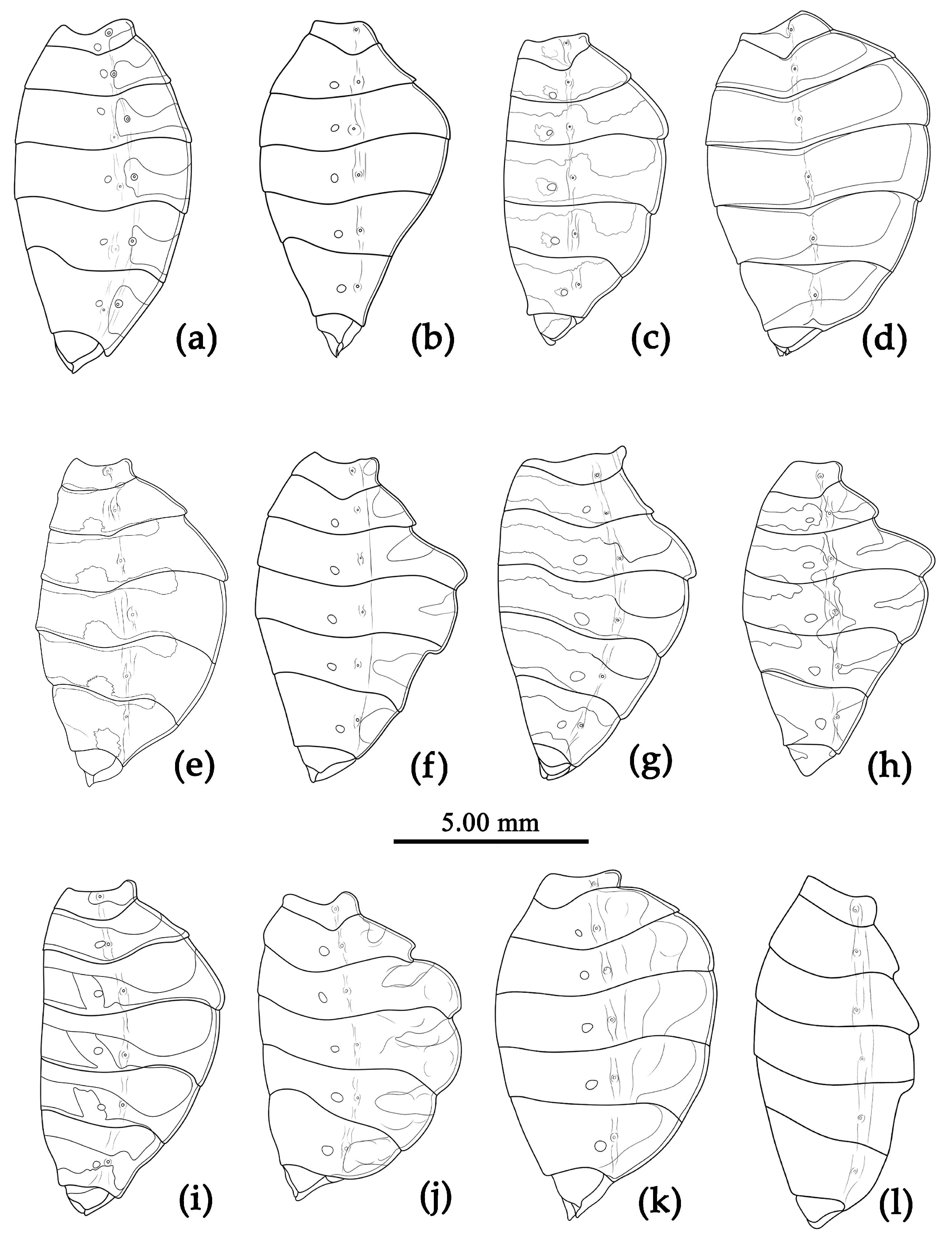 Preprints 83308 g004