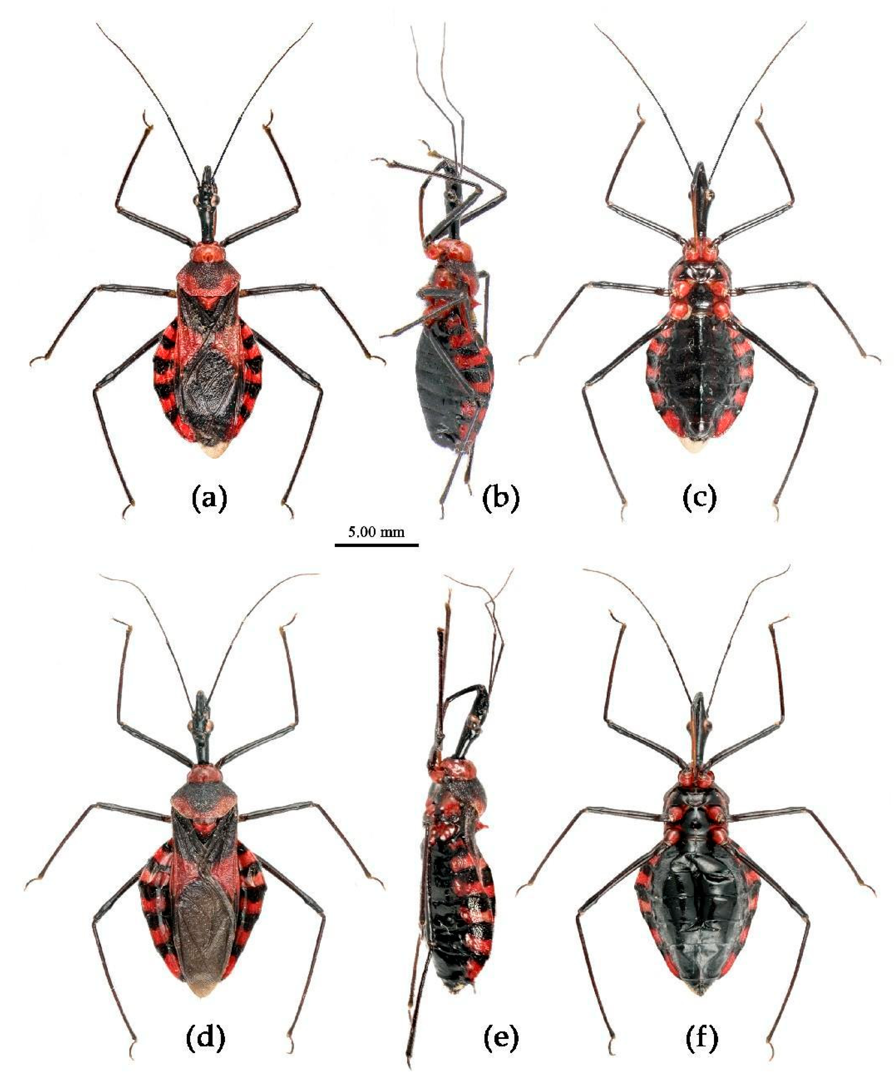 Preprints 83308 g007