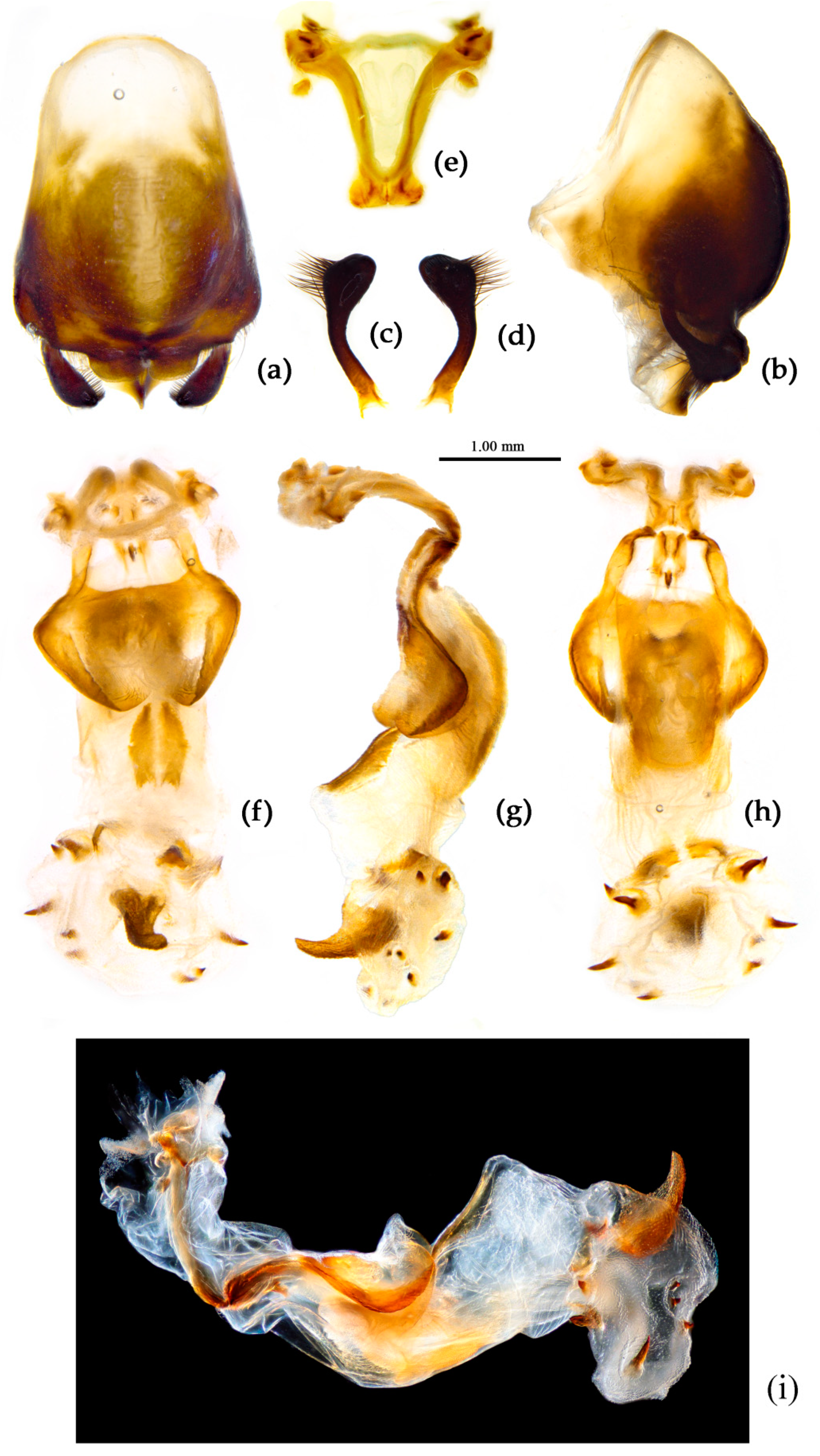 Preprints 83308 g010