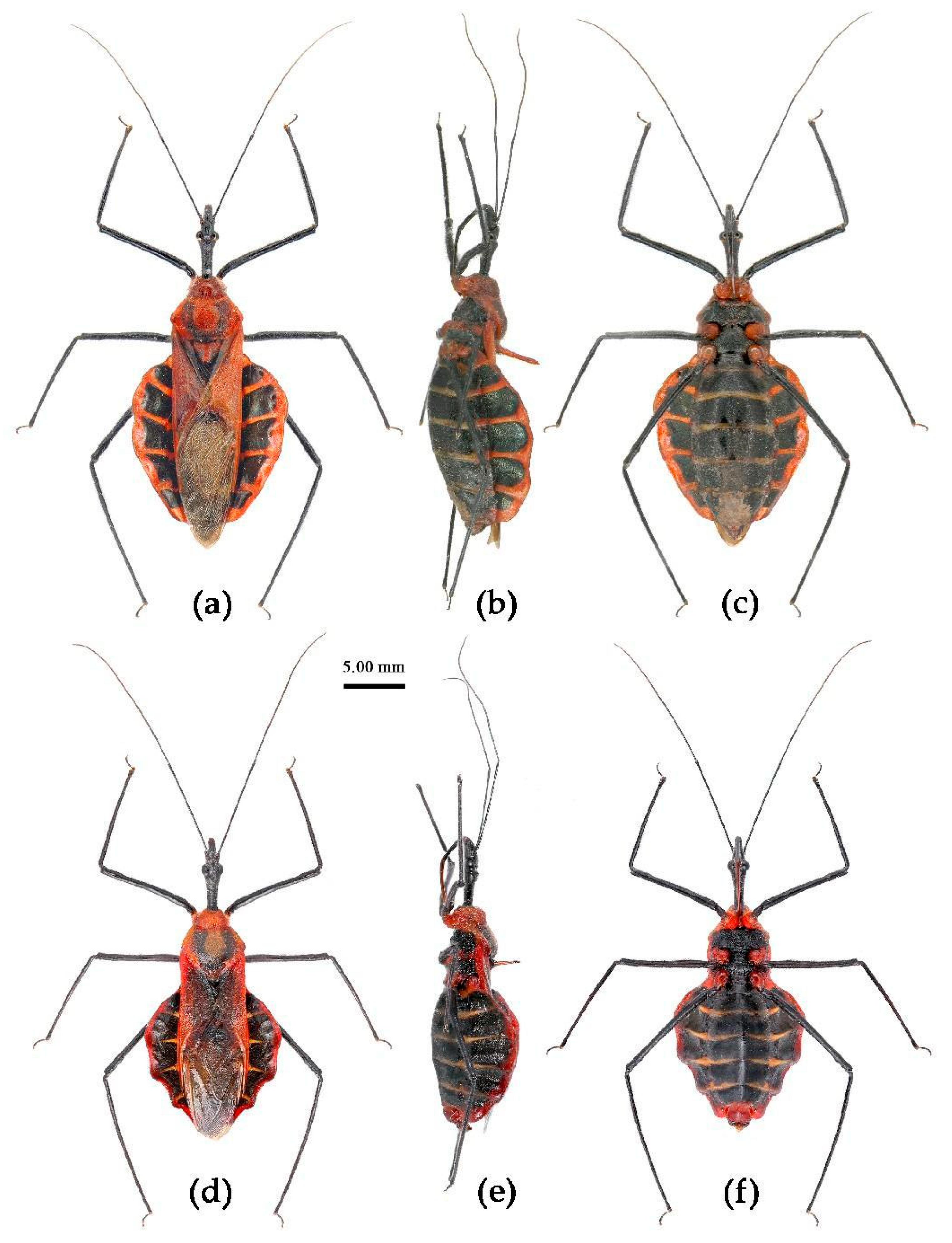 Preprints 83308 g013