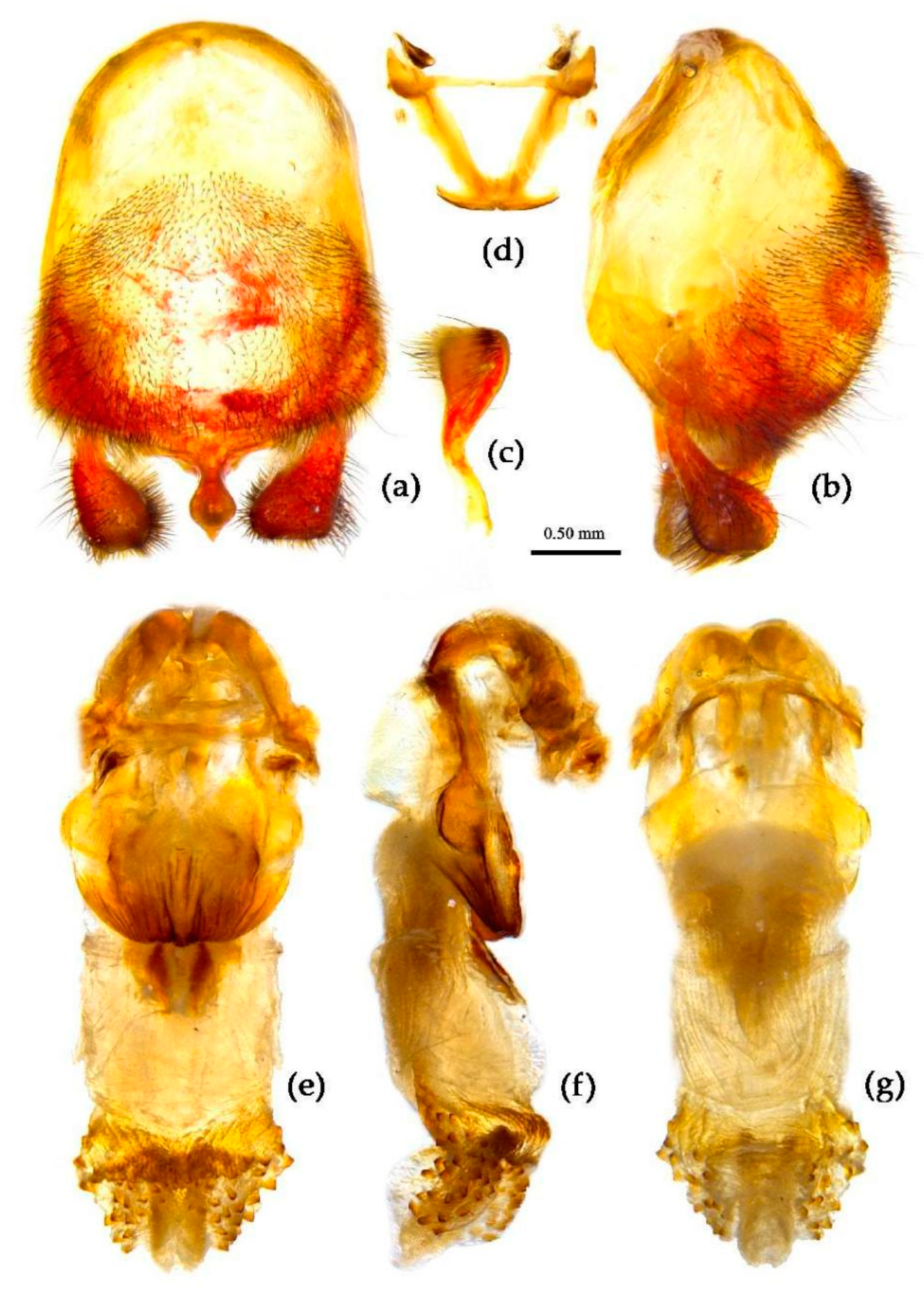 Preprints 83308 g014