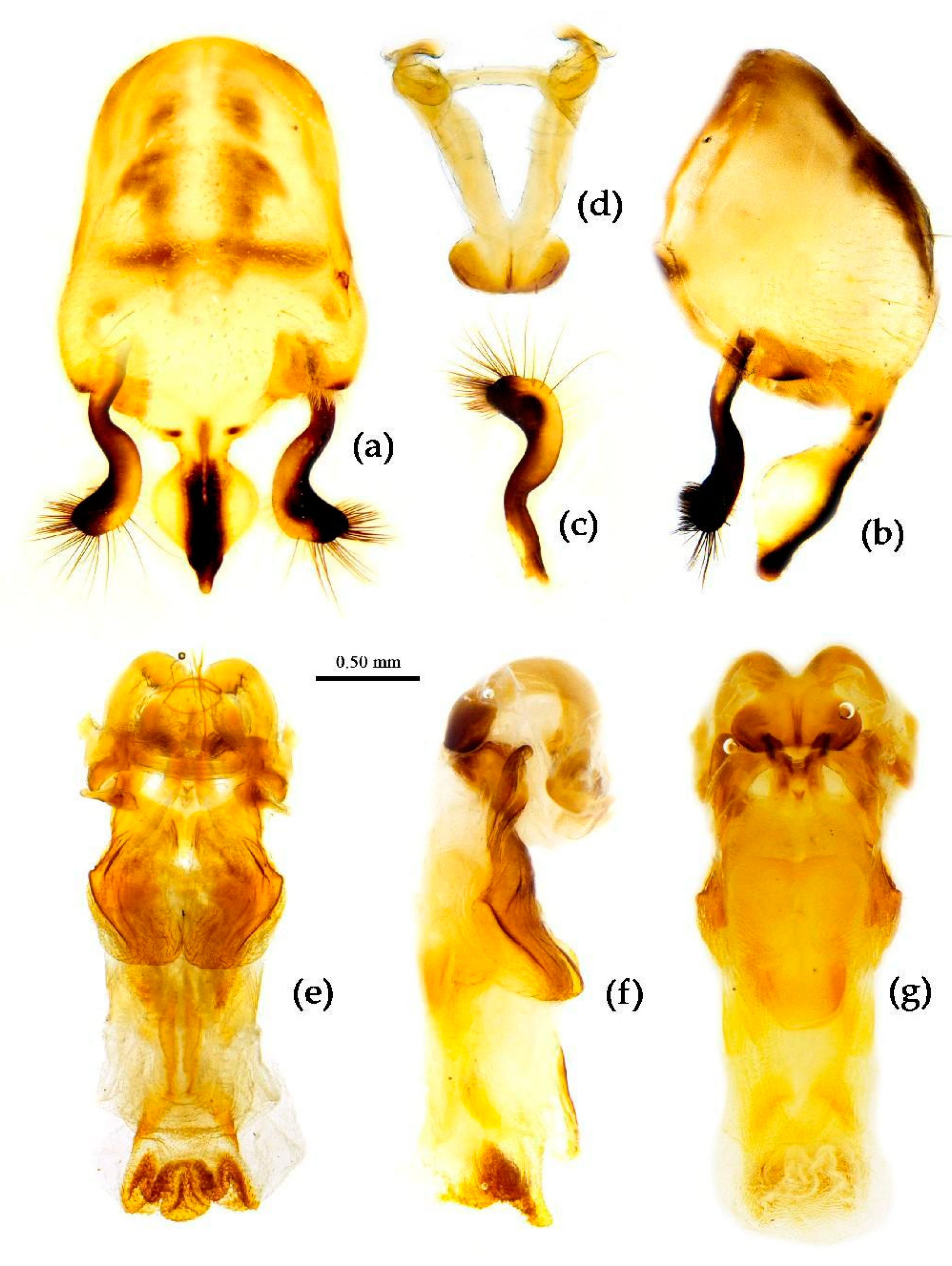 Preprints 83308 g016