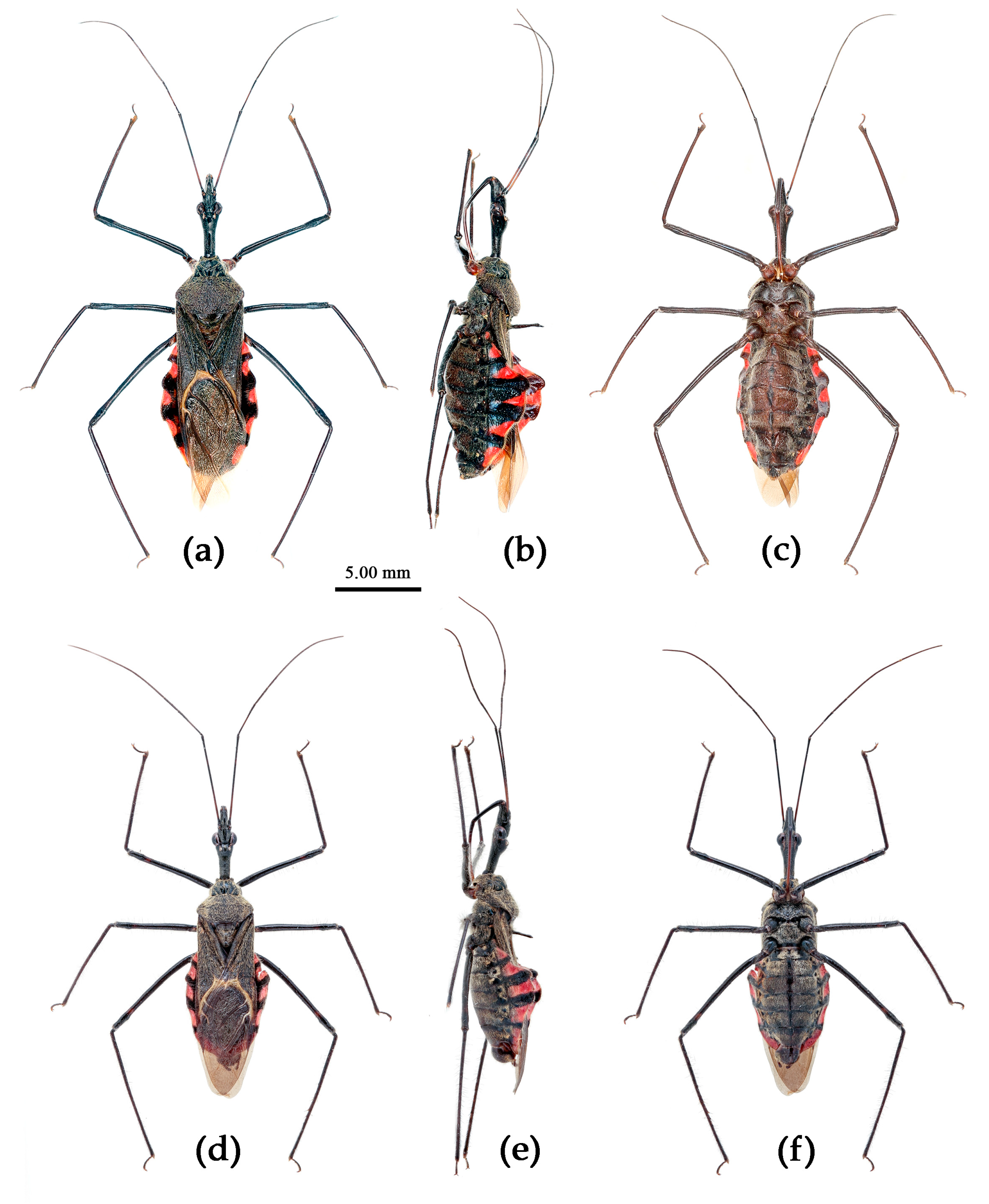 Preprints 83308 g017