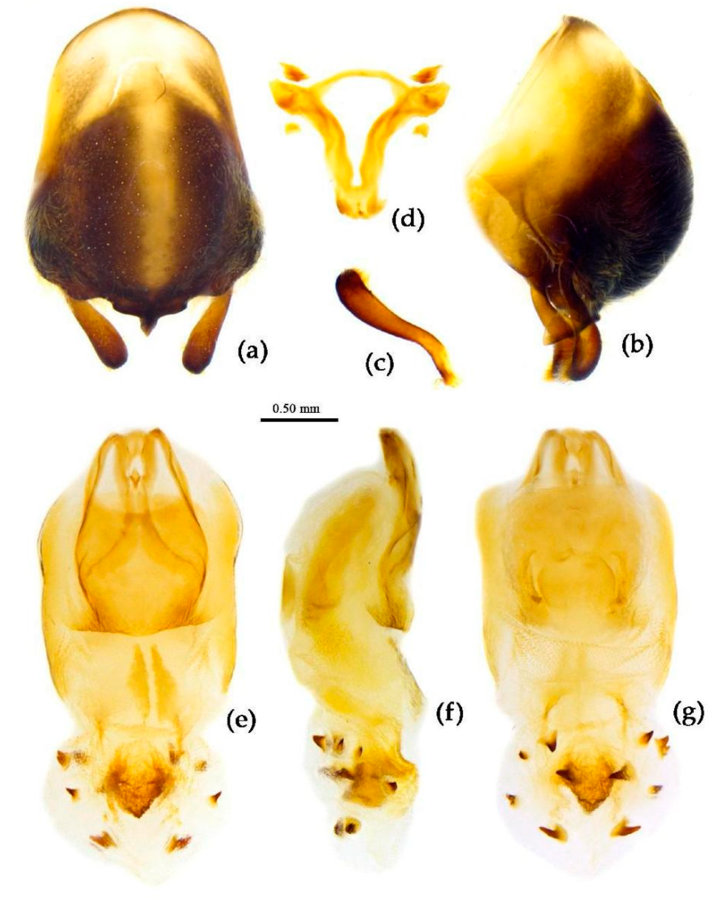 Preprints 83308 g018