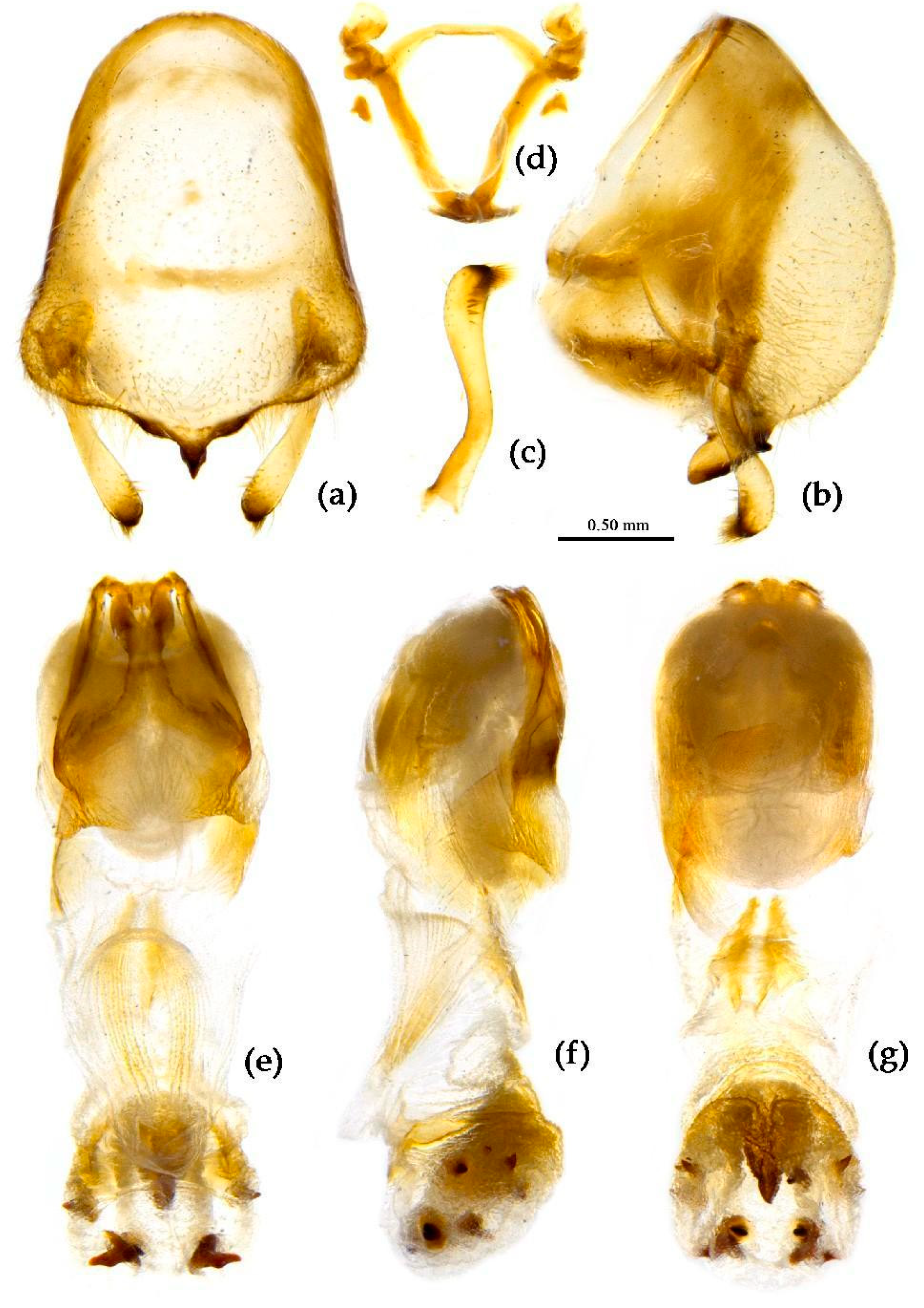 Preprints 83308 g022