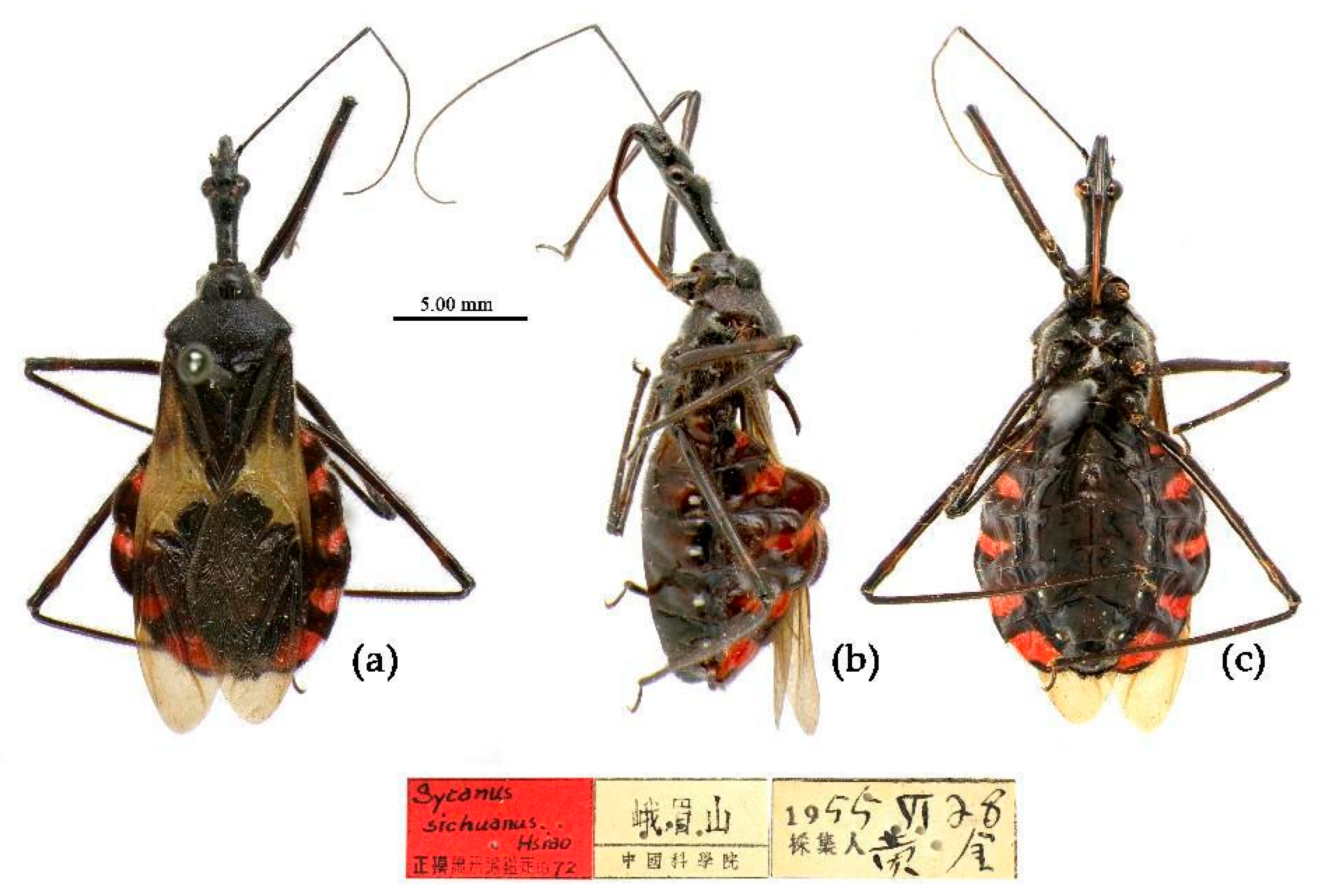 Preprints 83308 g025