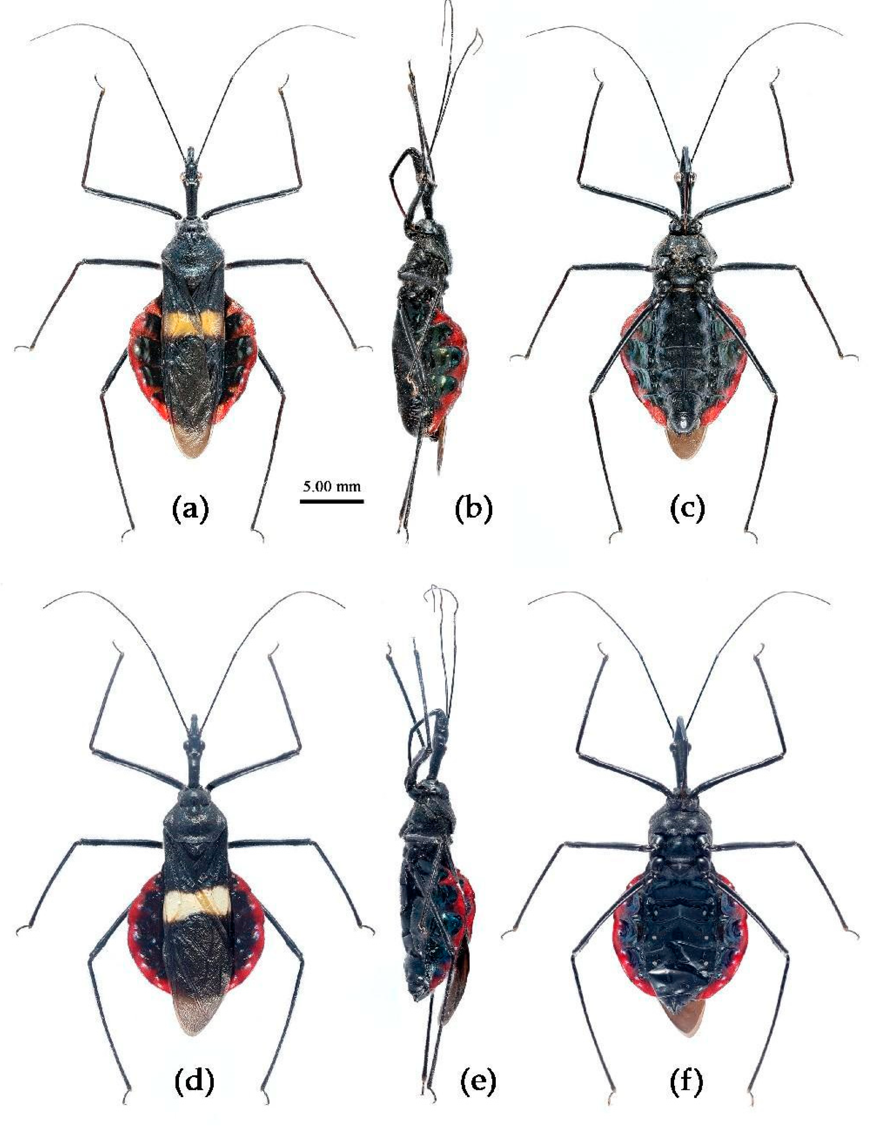 Preprints 83308 g027