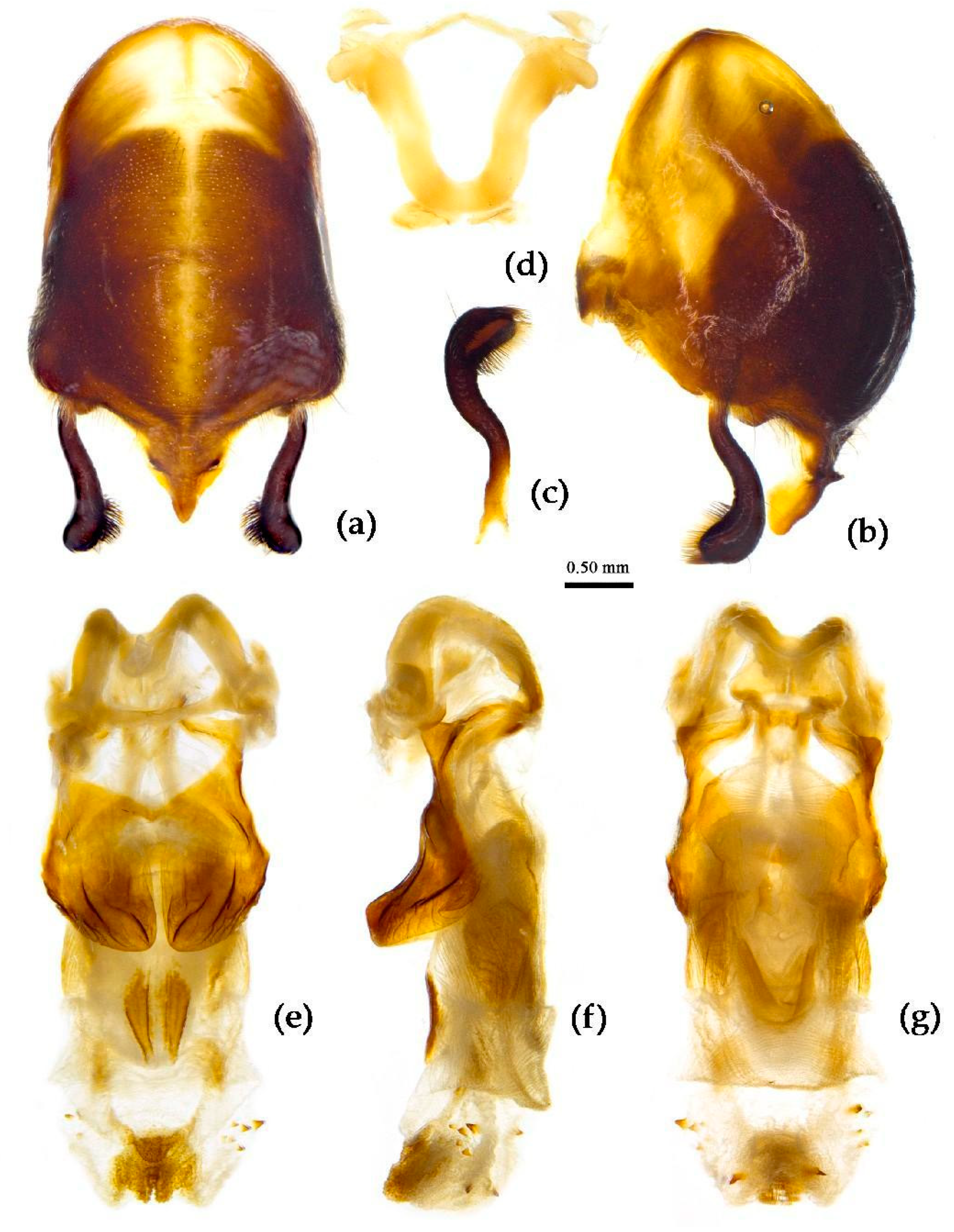 Preprints 83308 g028