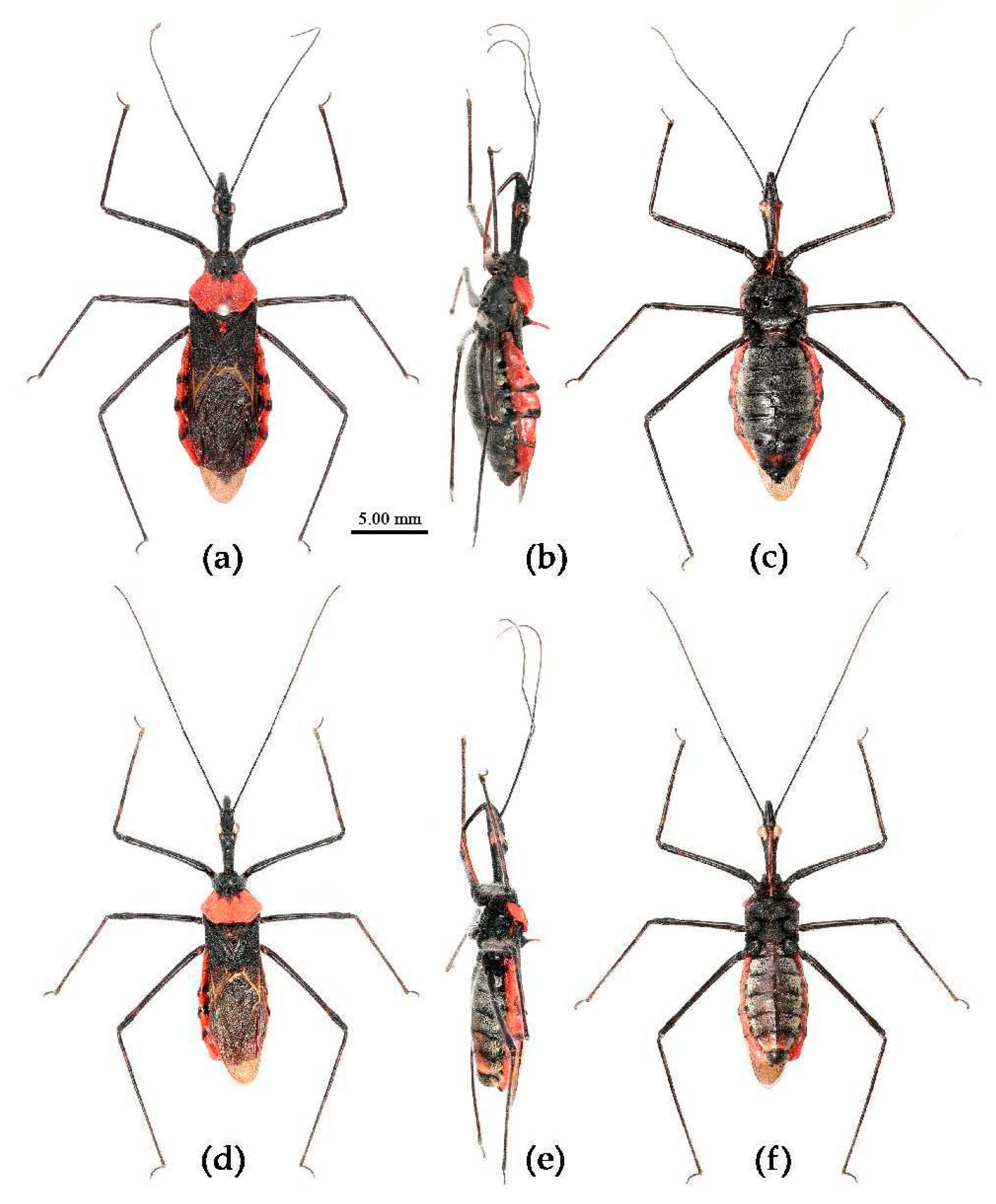 Preprints 83308 g029