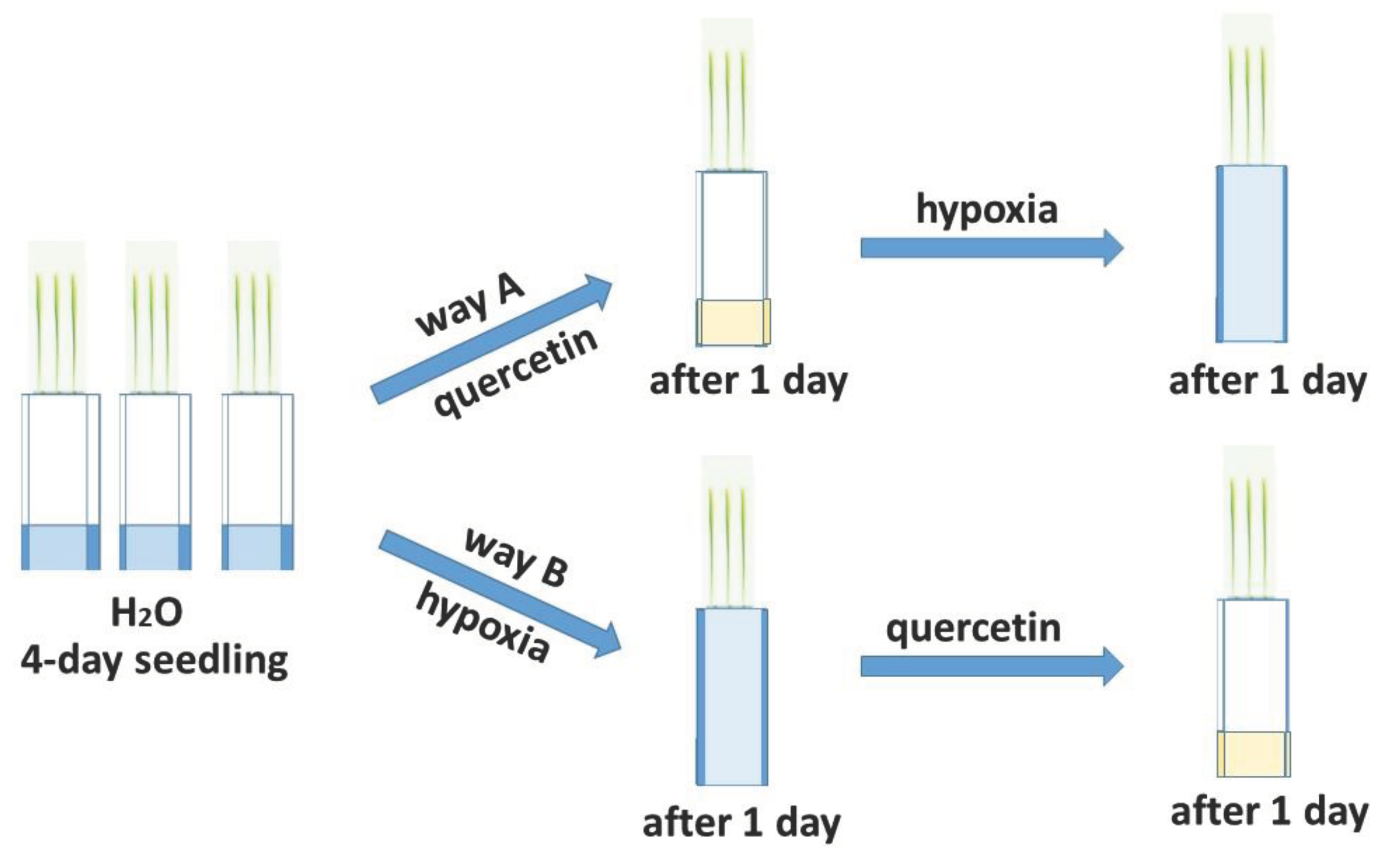 Preprints 102886 g001