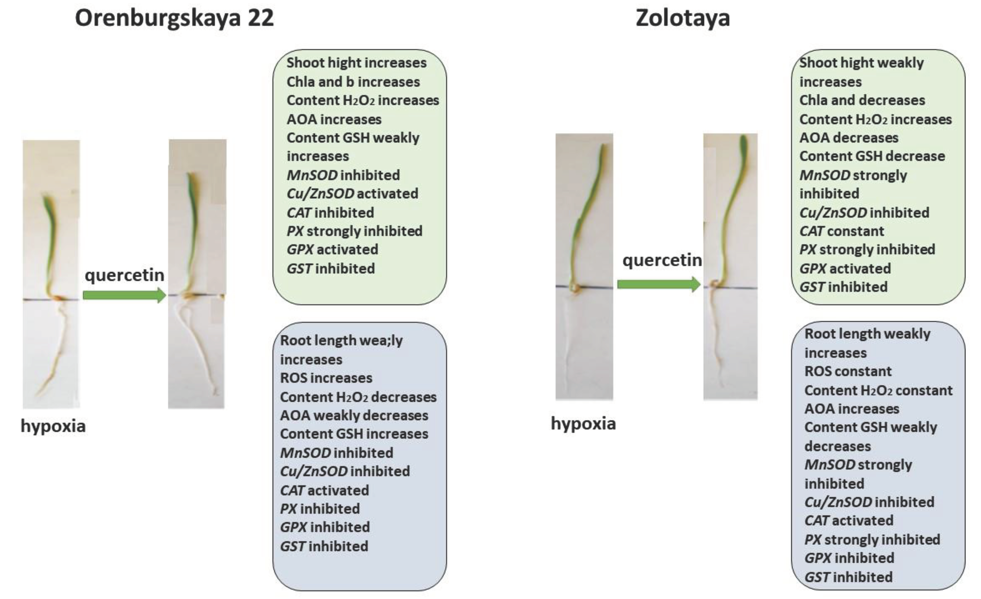 Preprints 102886 g011