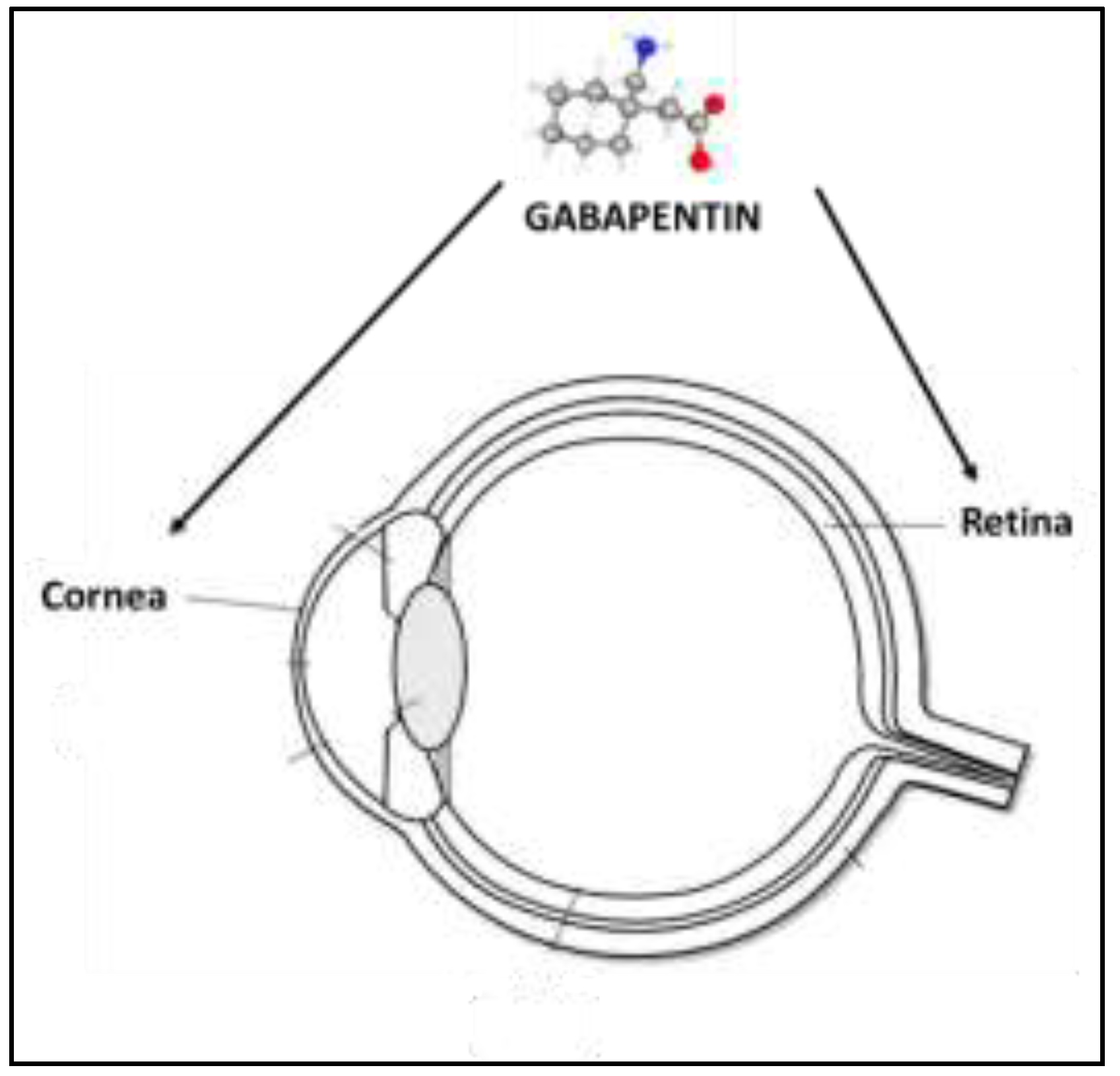 Preprints 105144 g004