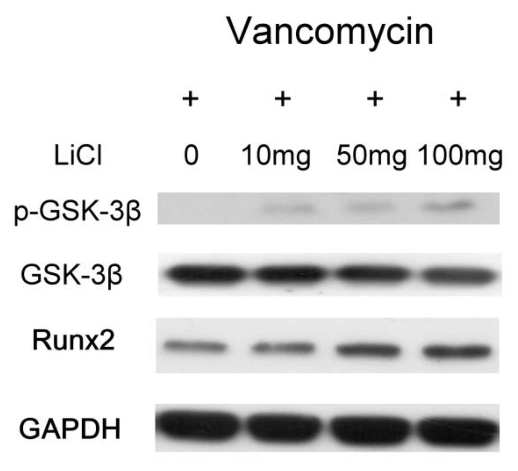 Preprints 109221 g006