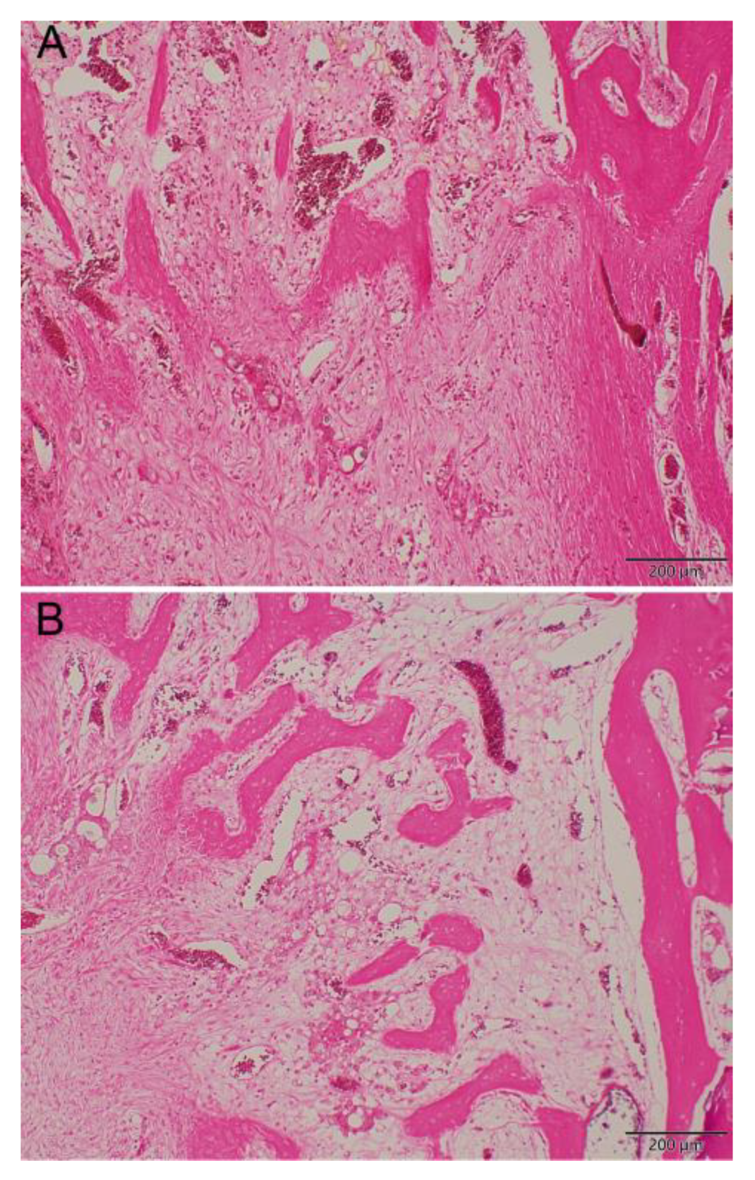 Preprints 109221 g010