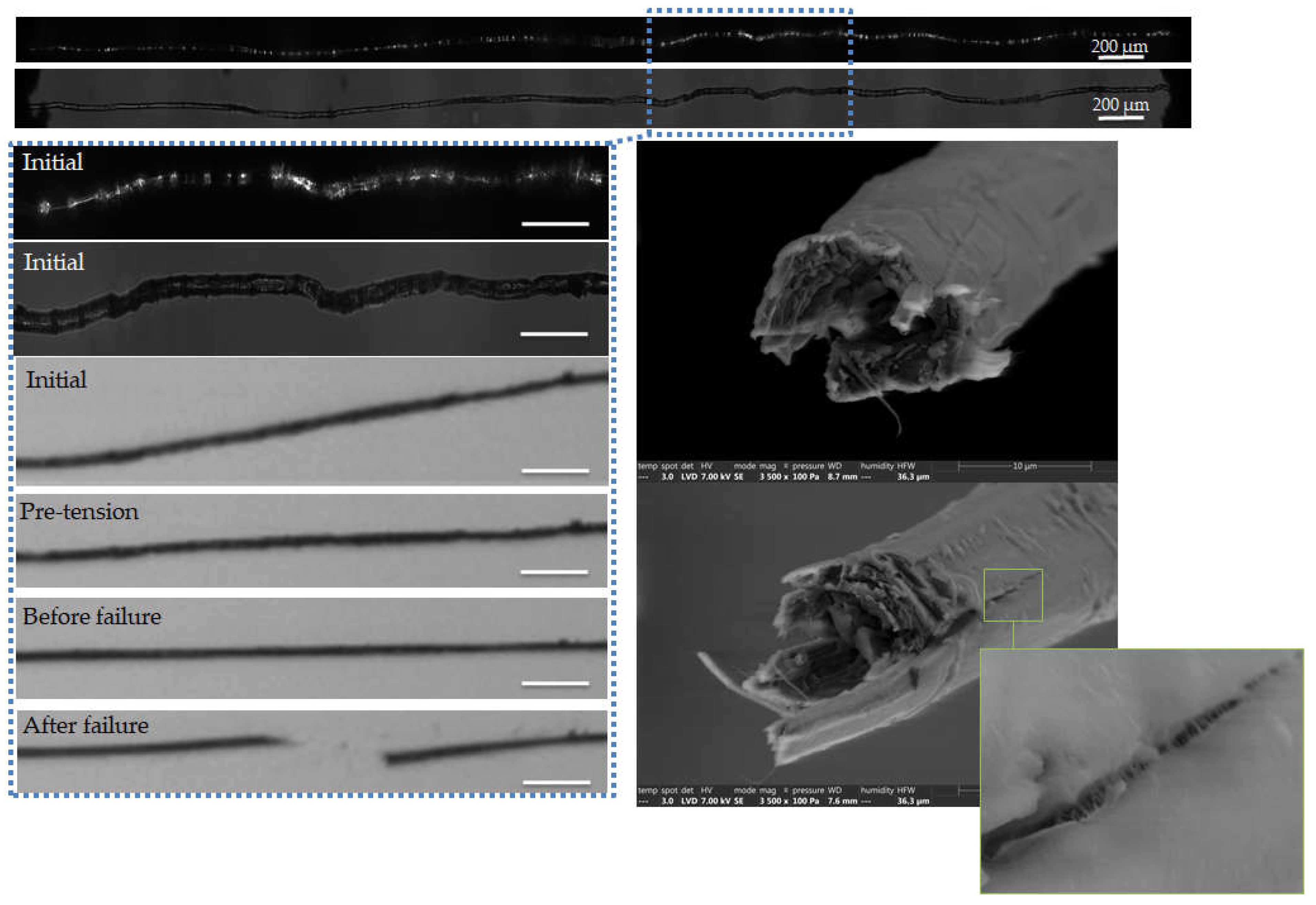 Preprints 74976 g005