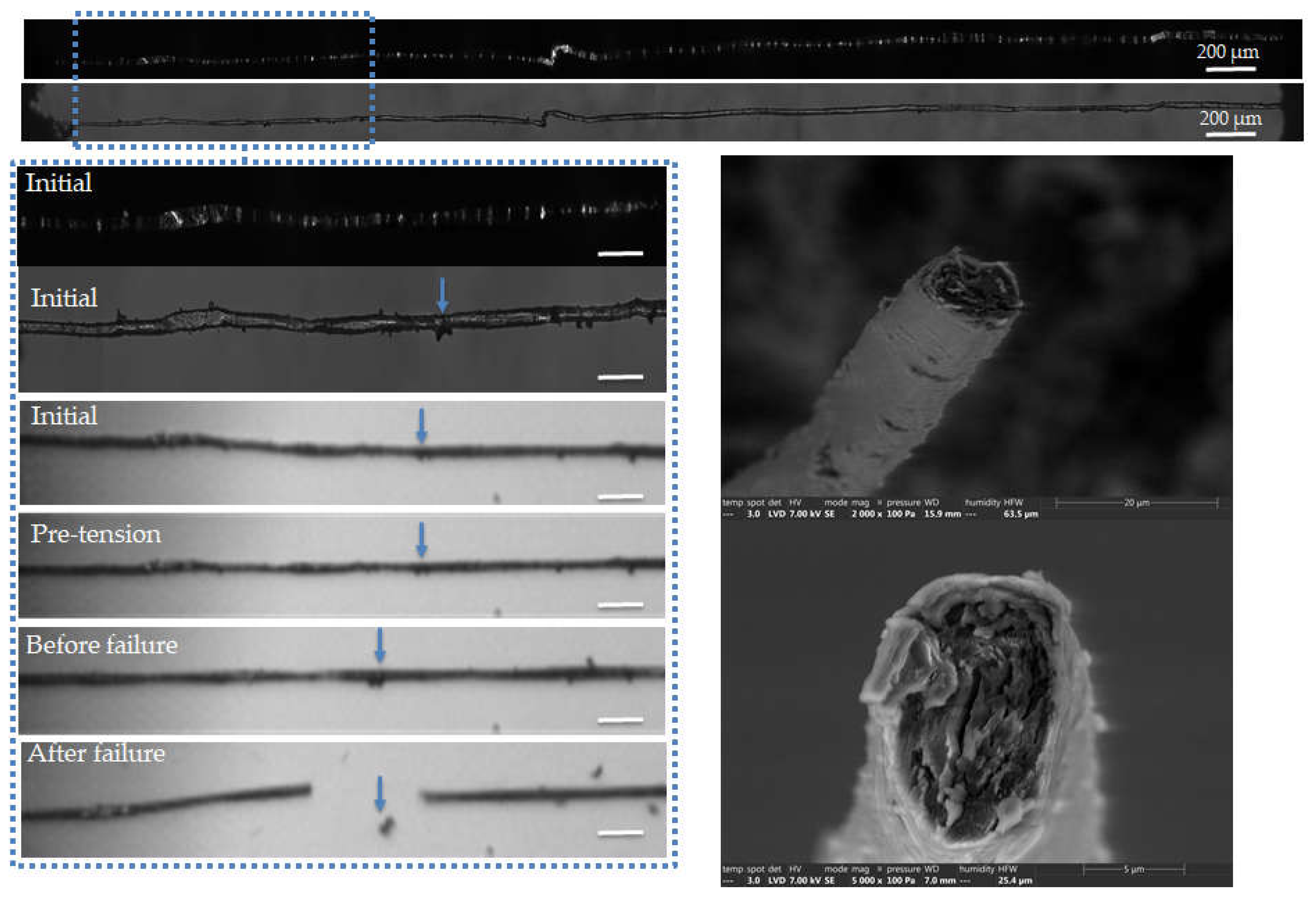 Preprints 74976 g006