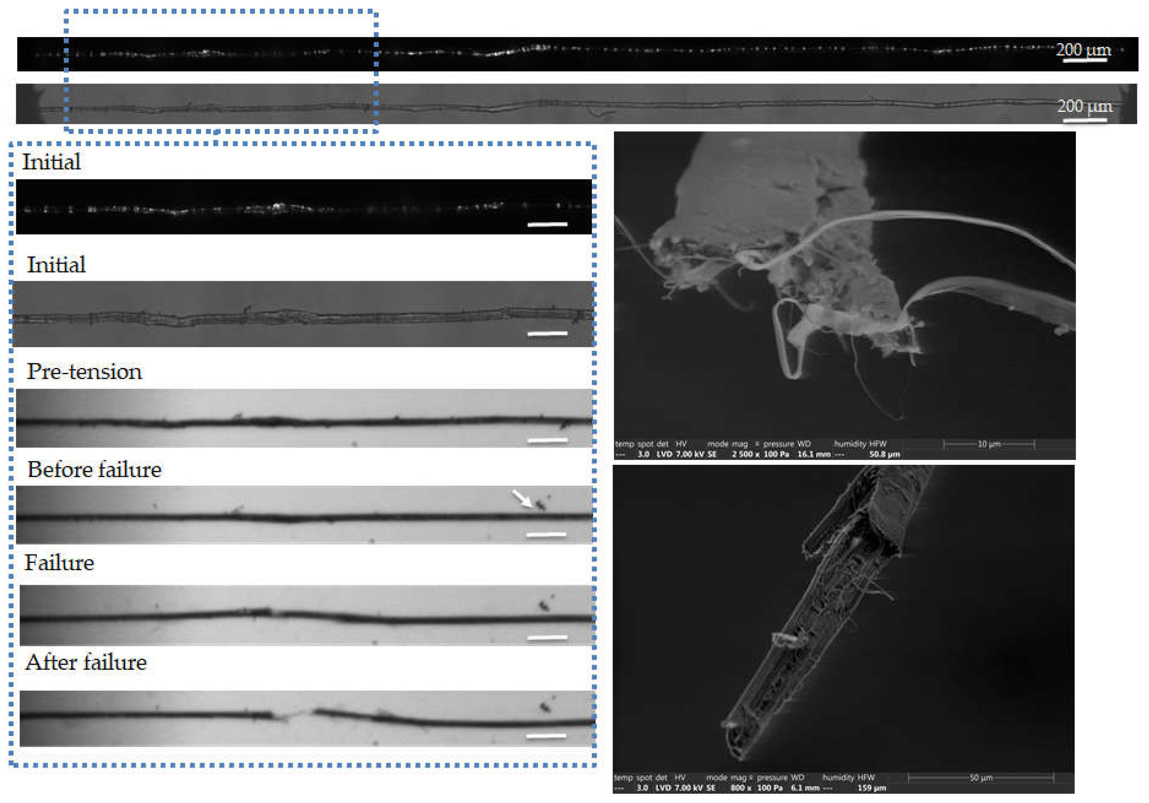 Preprints 74976 g007